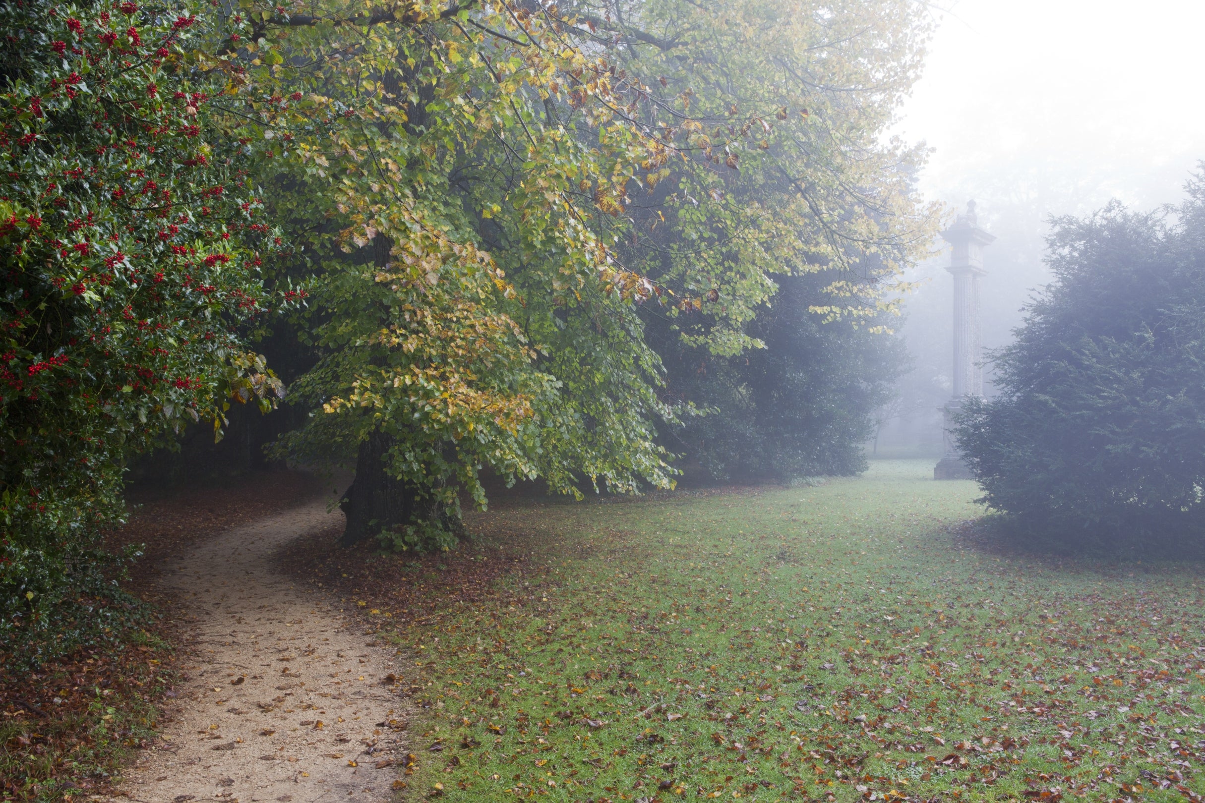 A view through woodland trees towards the Sphinx Lawn at Lacock, it is foggy and the Sphinx pillar can be seen in the background