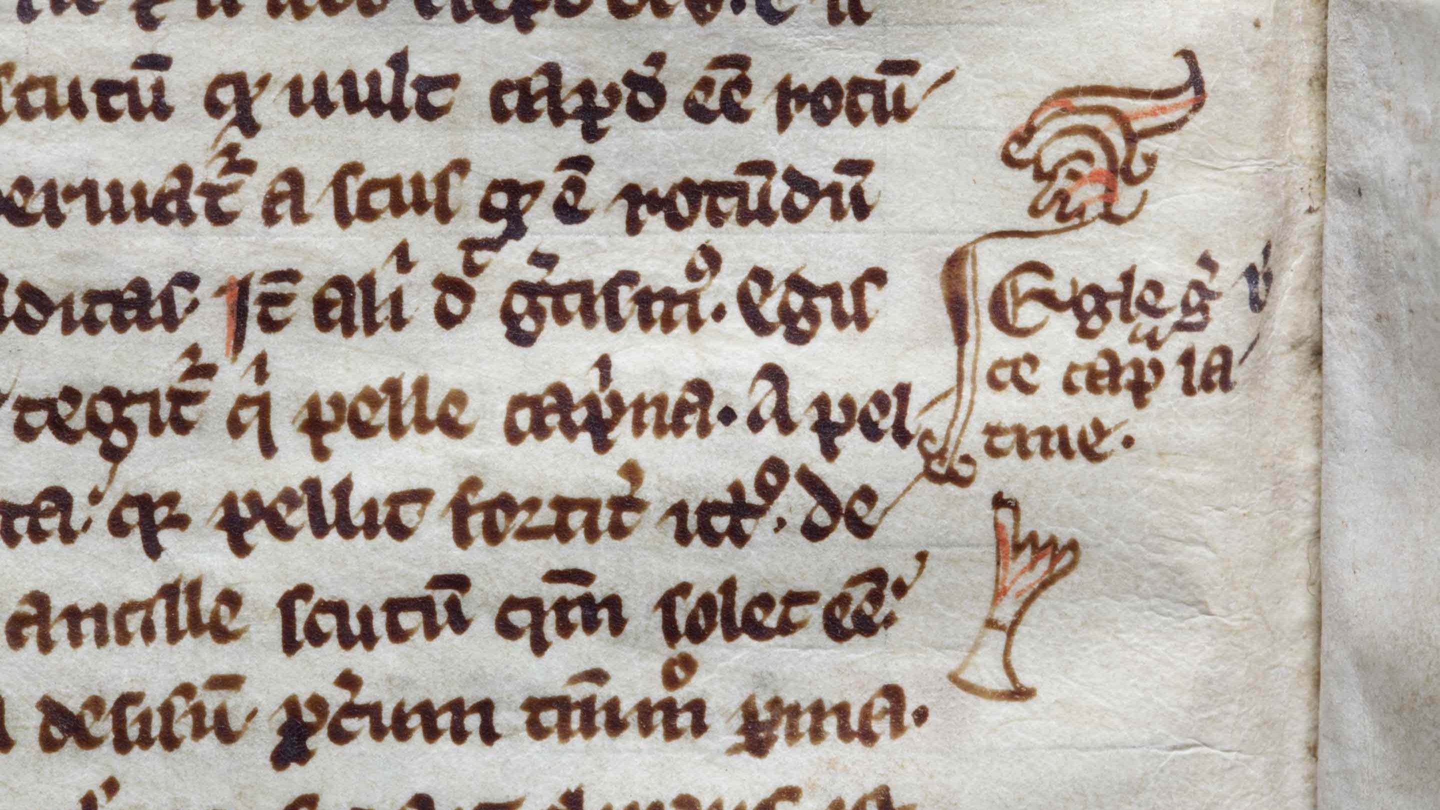 A close up of handwritten text from the manuscript of William Brito's Expositiones Vocabulorum Bibliae held at Lacock Abbey, Wiltshire