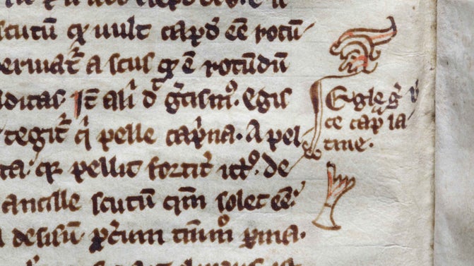 A close up of handwritten text from the manuscript of William Brito's Expositiones Vocabulorum Bibliae held at Lacock Abbey, Wiltshire