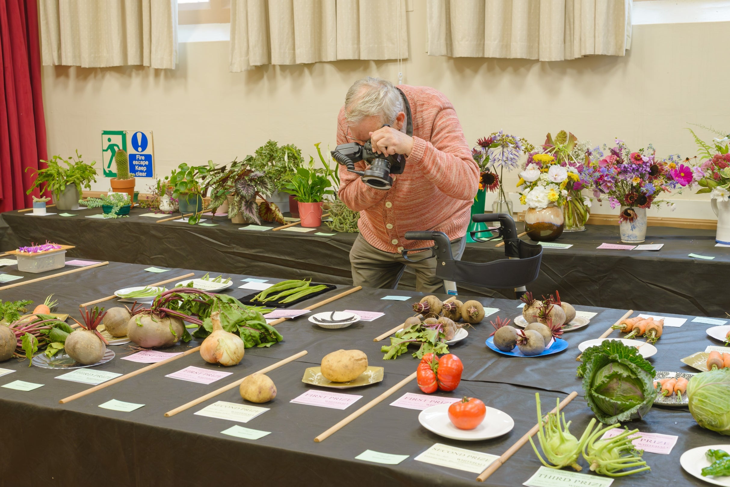 Photographer Martin Parr takes a photo at the Lacock Flower Show. He is bending over a table covered in produce, pointing his lens at a prize winning potato.