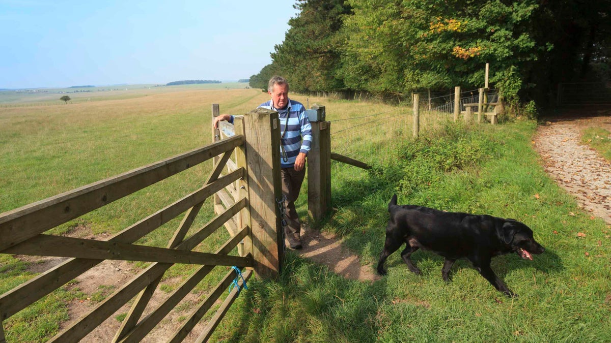 Dogs at Stonehenge Landscape Wiltshire National Trust