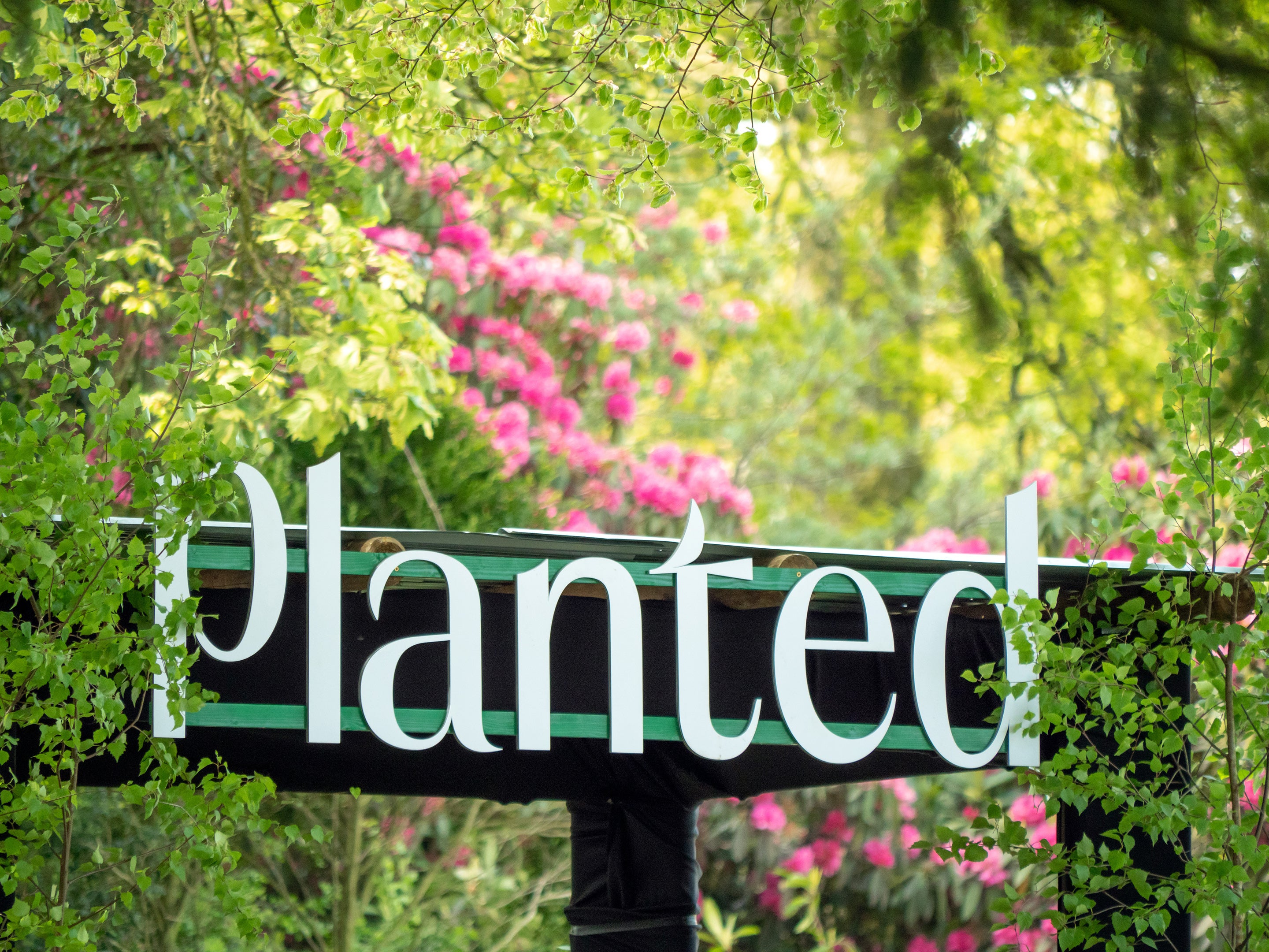 Stourhead's Planted Country event