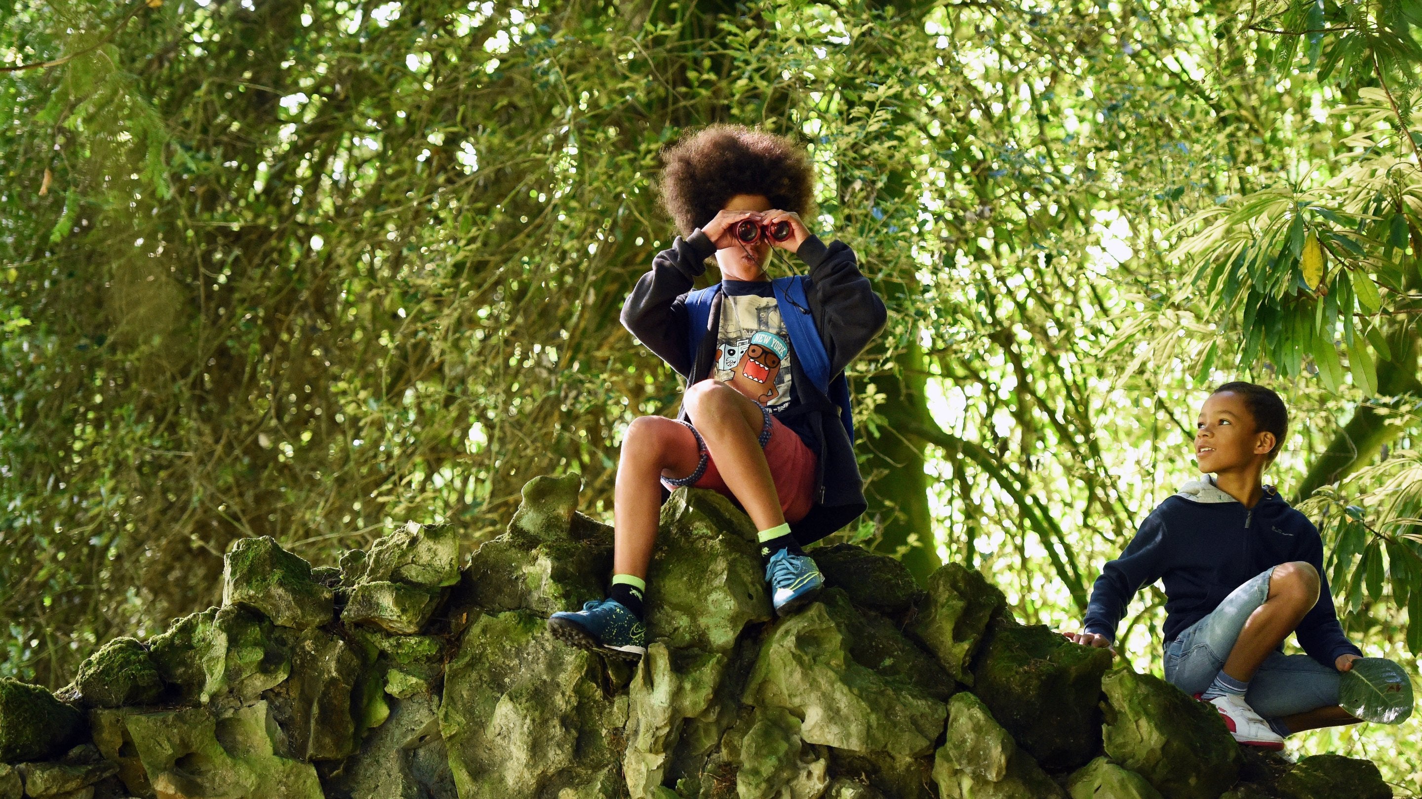 Two boys exploring under the trees, one looking through binoculars at Stourhead garden in Wiltshire.