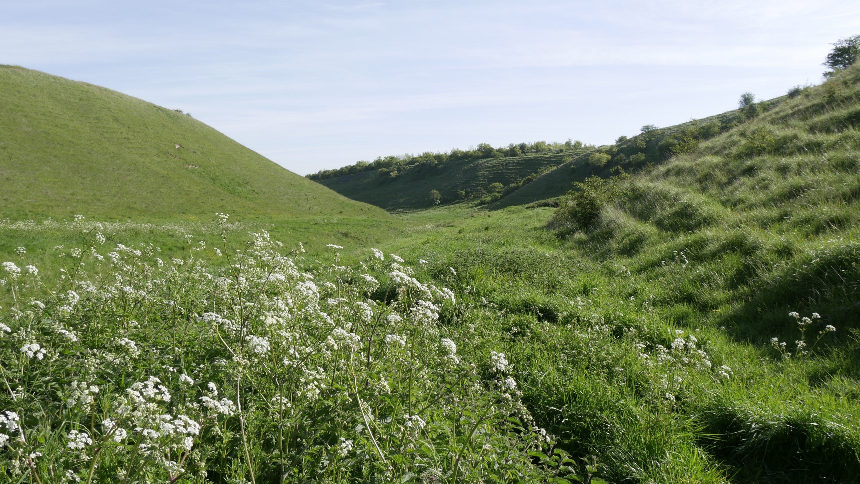 View along the valley at The Coombes, Hinton Parva, Wiltshire