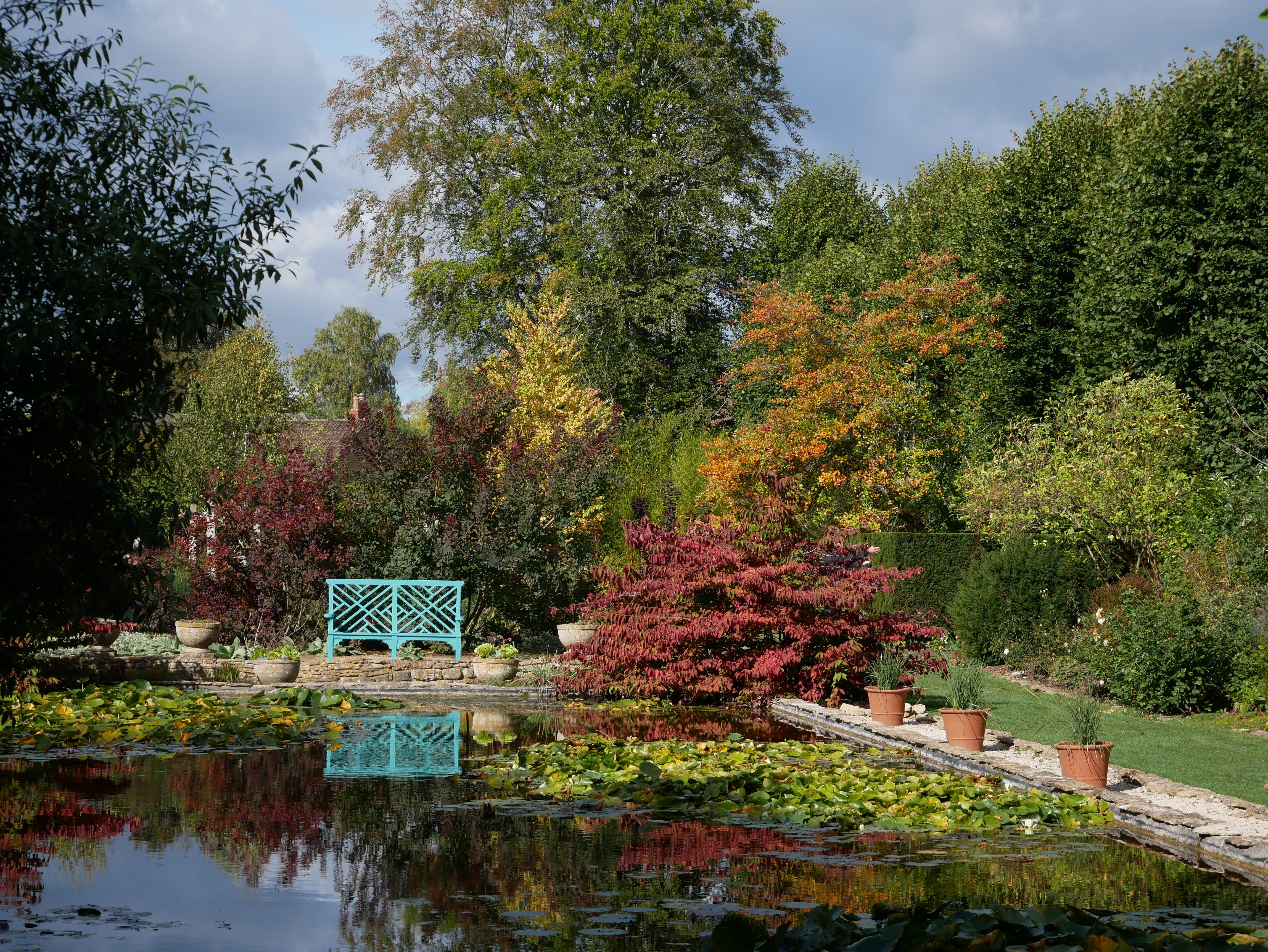 A view across a rectangular pool with a blue bench in the background, trees are in gold and brown leaf for autumn and the sun is shining.
