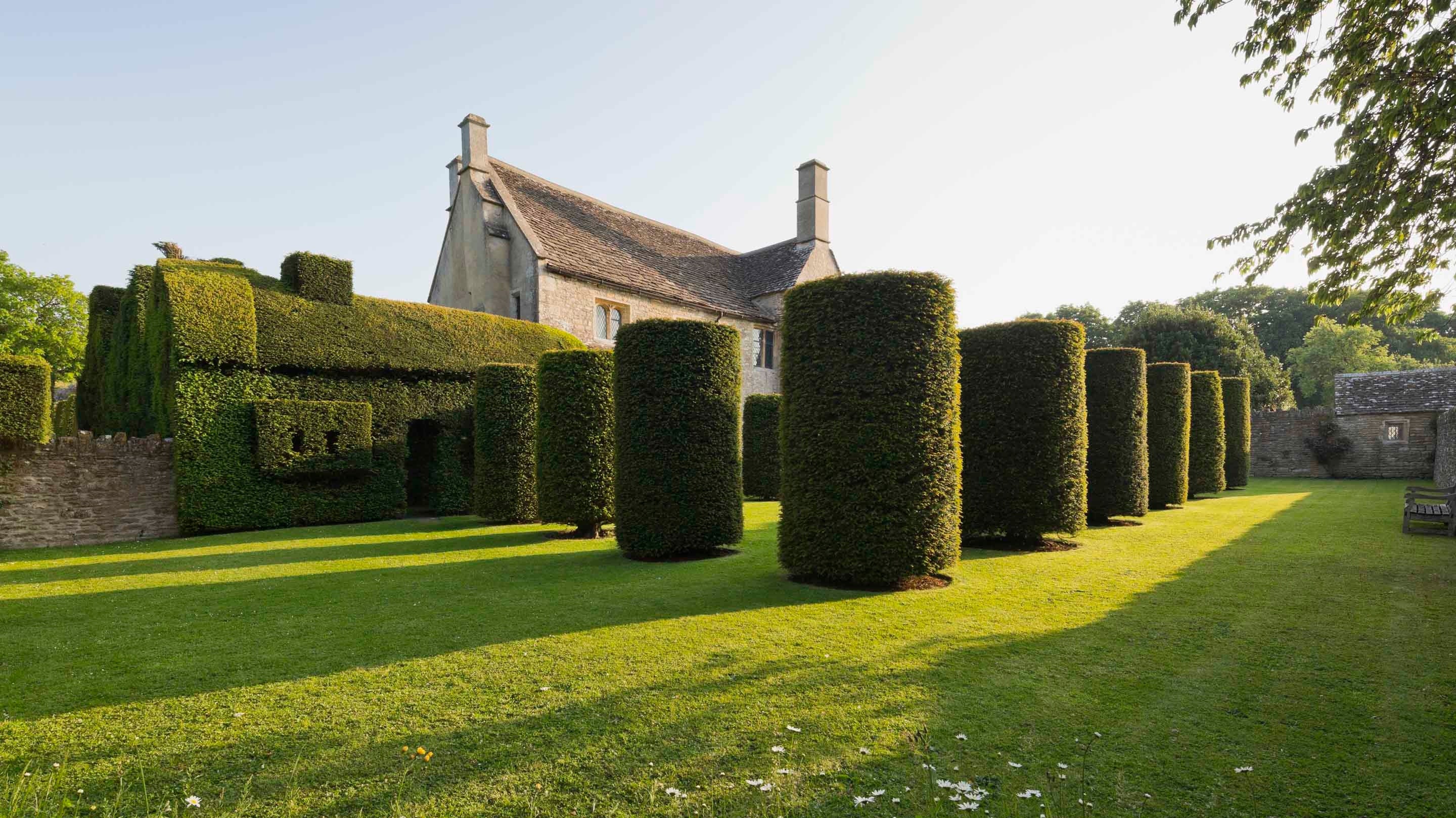 A view of the manor house and the clipped column-like yews in evening sunlight, Westwood Manor, Wiltshire