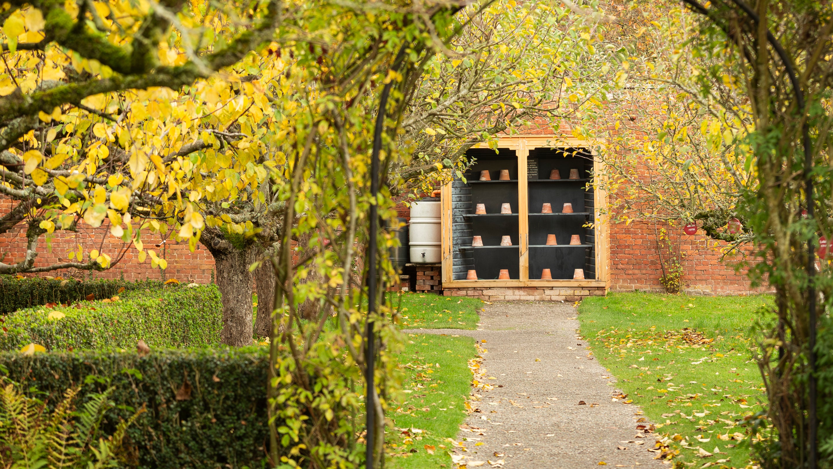 A section of the walled garden where the leaves are starting to turn orange.
