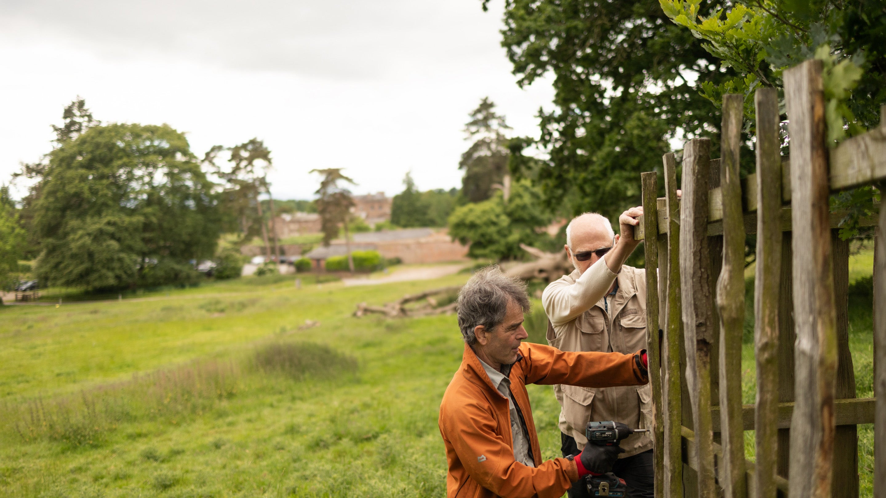Two volunteers repairing tree guards, surrounded by lush green grass and trees, with Berrington Hall in the background.