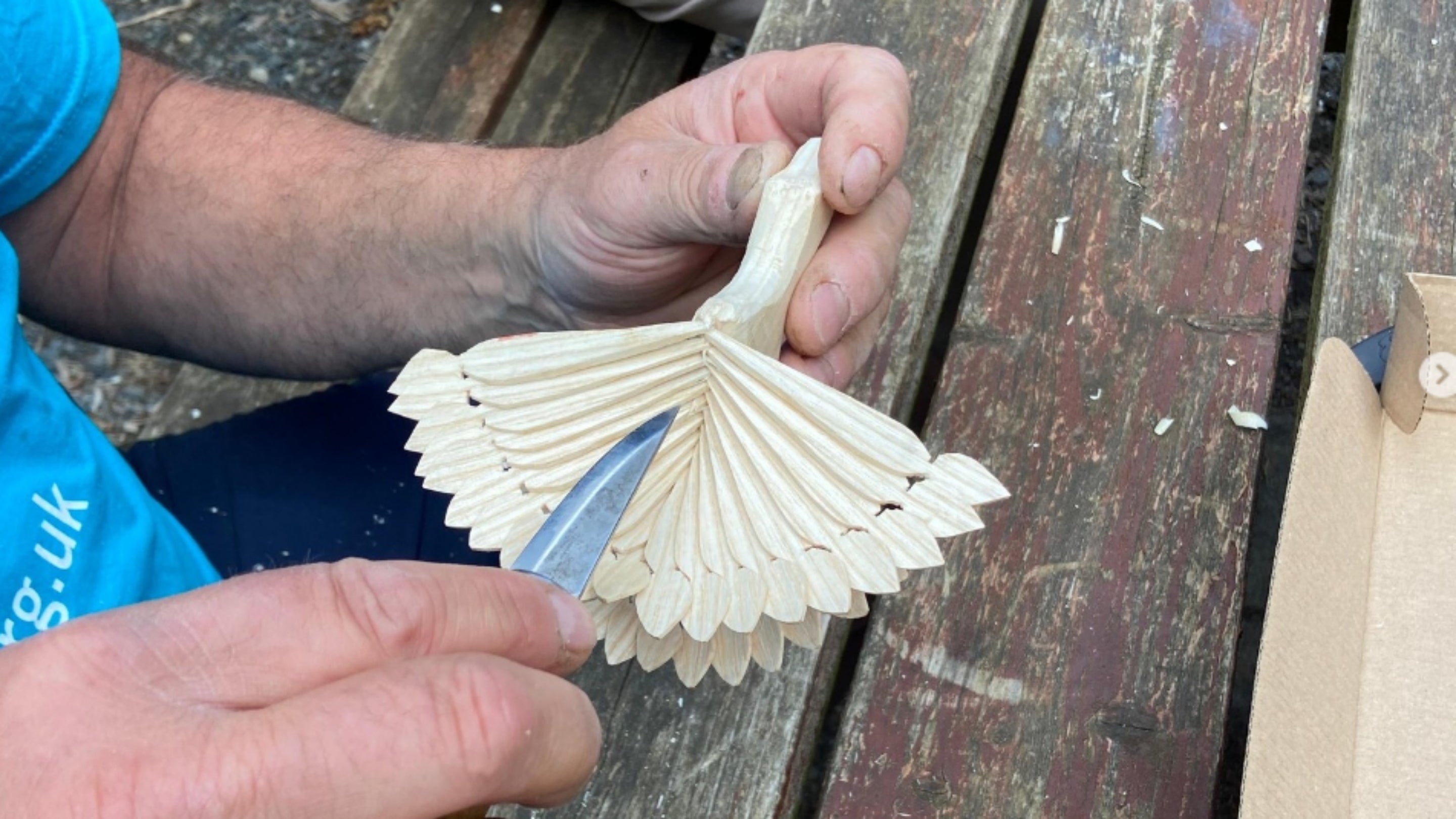 Create your own FanBird