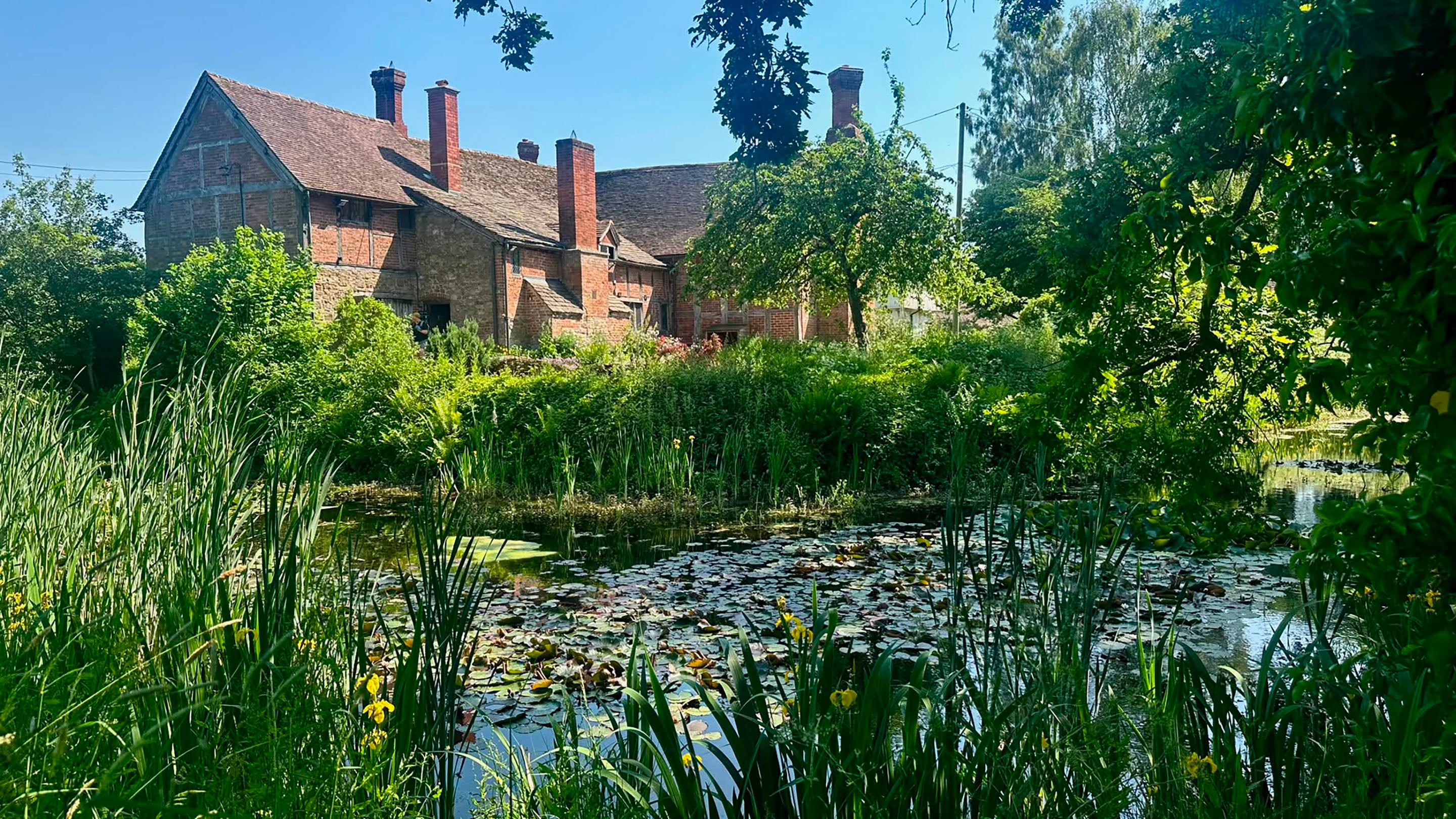 Rear of Brockhampton manor house with red brick and timber. In the front of the image is a moat covered in lily pads