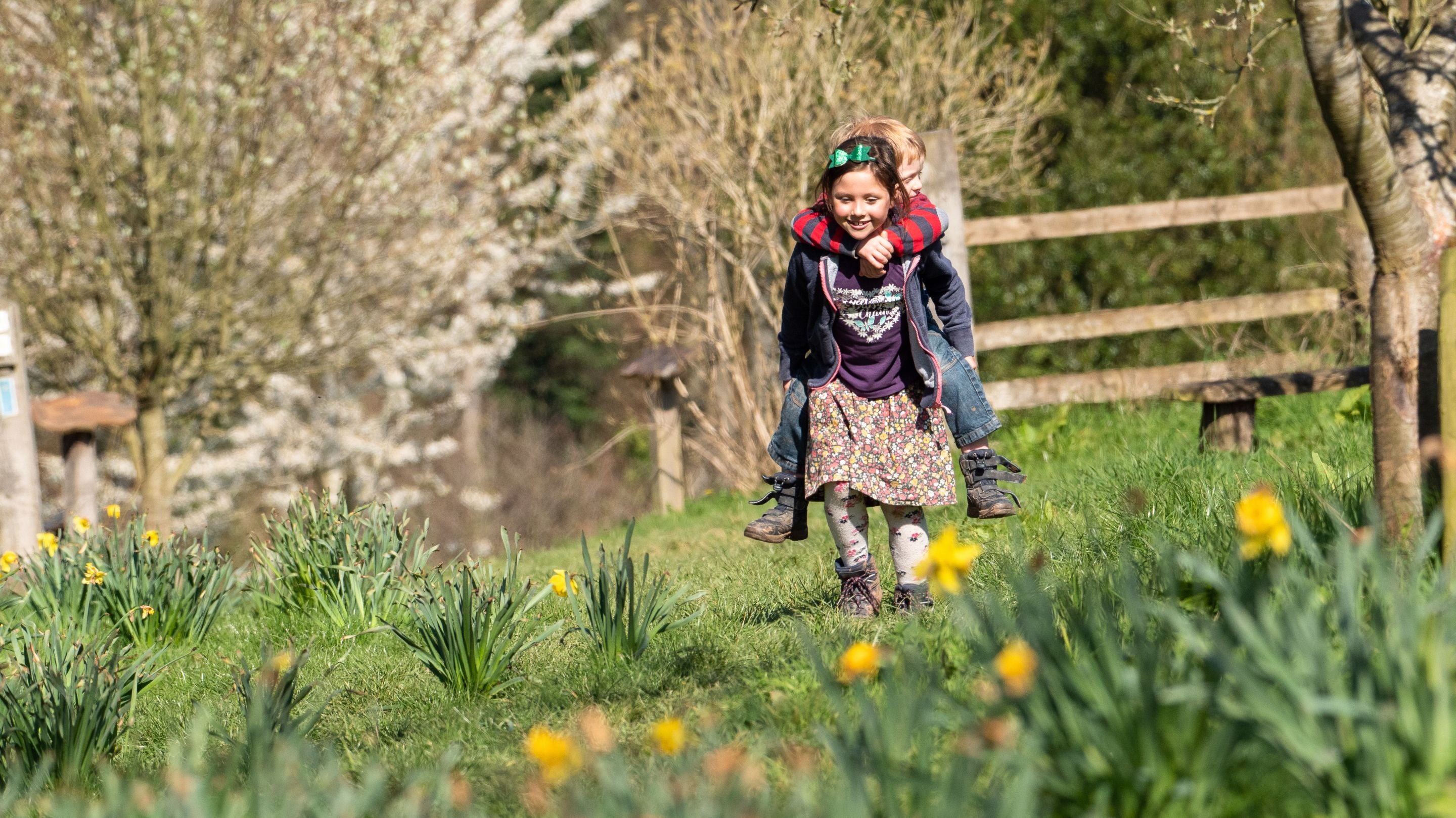 A girl carrying a little boy on her back while smiling and walking through daffodils and tall grass. There are some blossoming orchard trees around them.