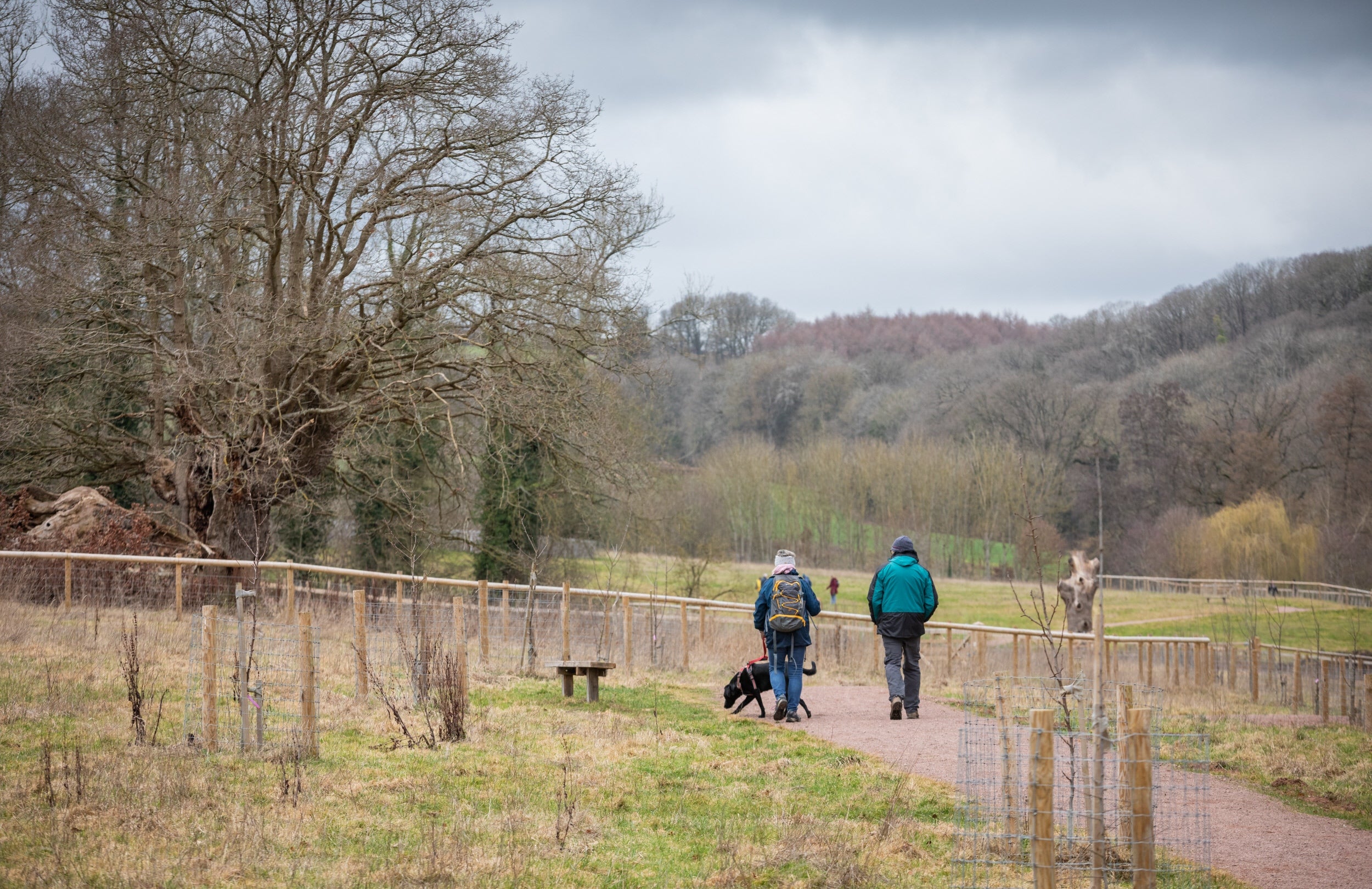 People walking their dog at the Brockhampton estate with winter trees in the background.
