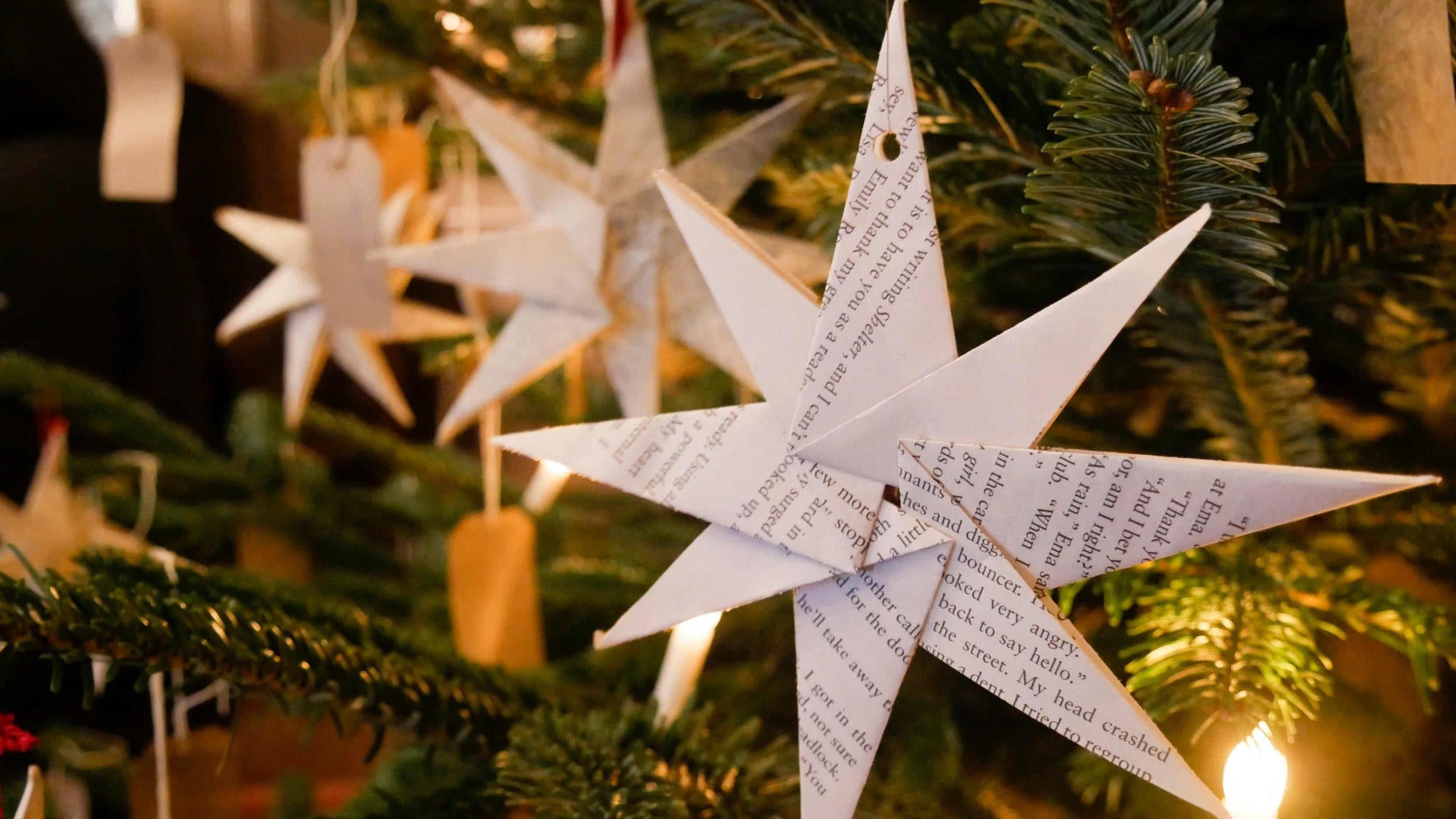 A multi-pointed star made from the pages of a book, hung on a fir tree with mellow, warm yellow lights illuminating the scene