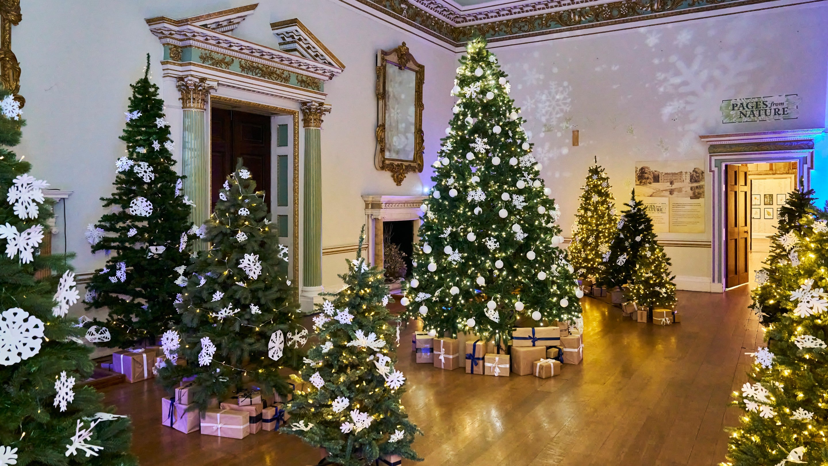 A room full of Christmas Trees in varying sizes, with snowflake and white bauble decorations and warm white lights
