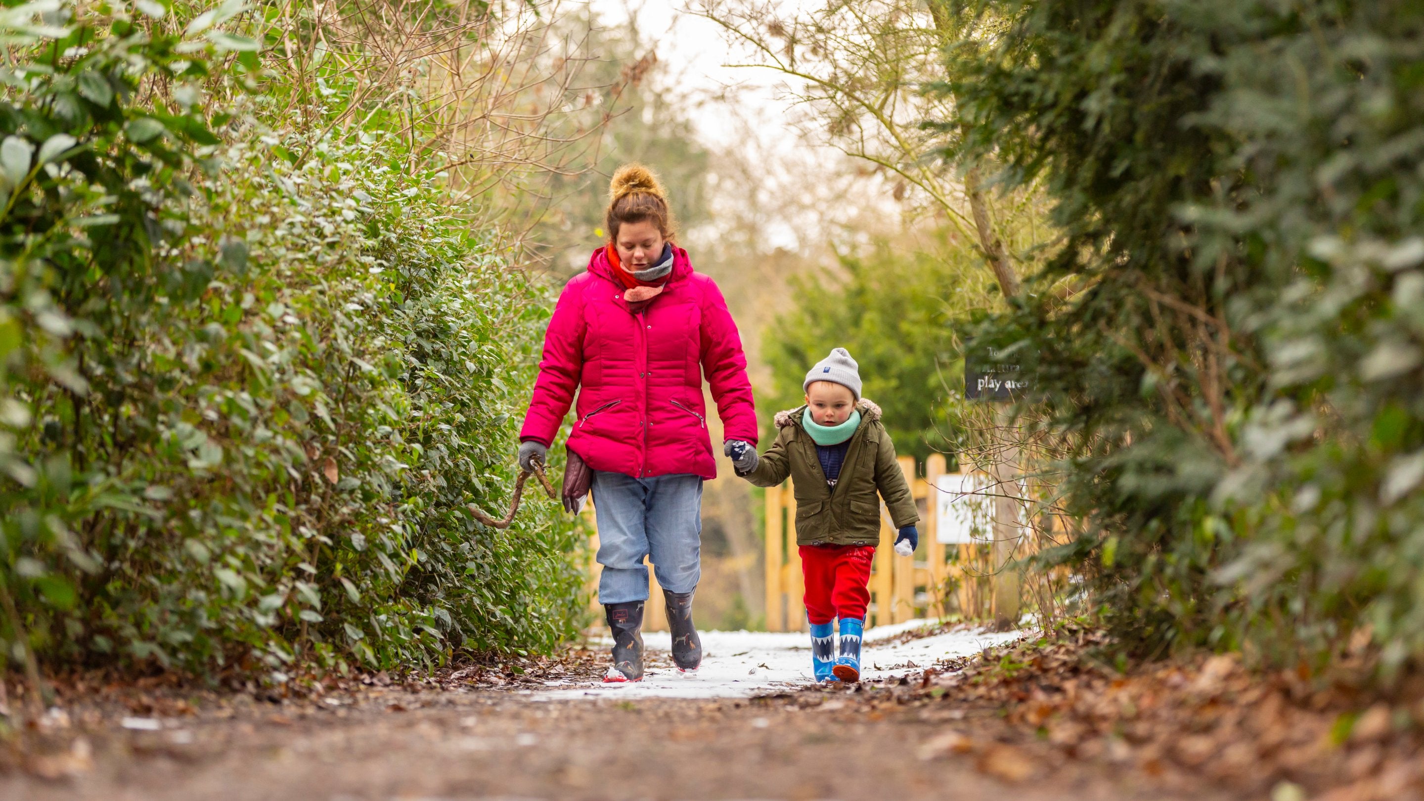 Walking in the parkland this winter