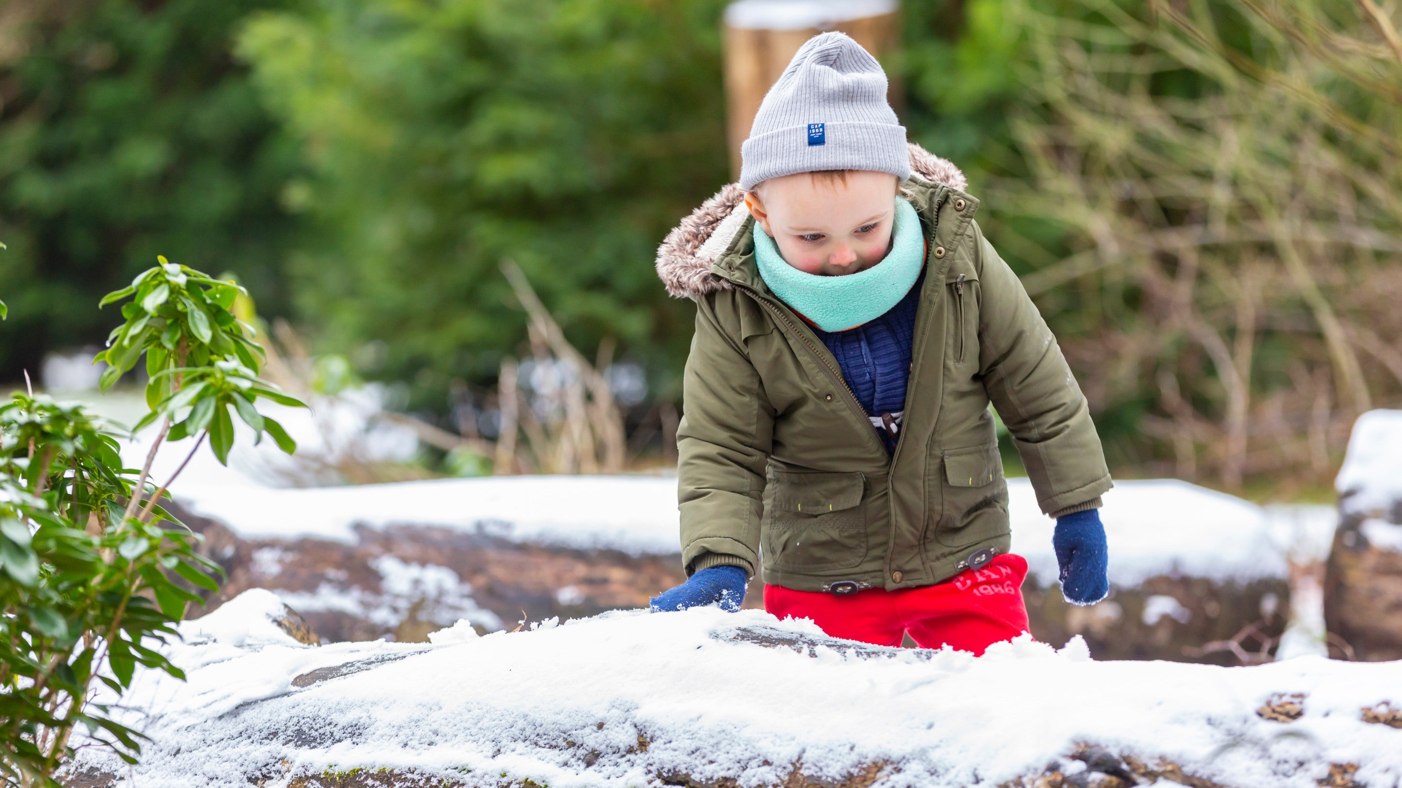 The Wild Play Area at Croome in Winter