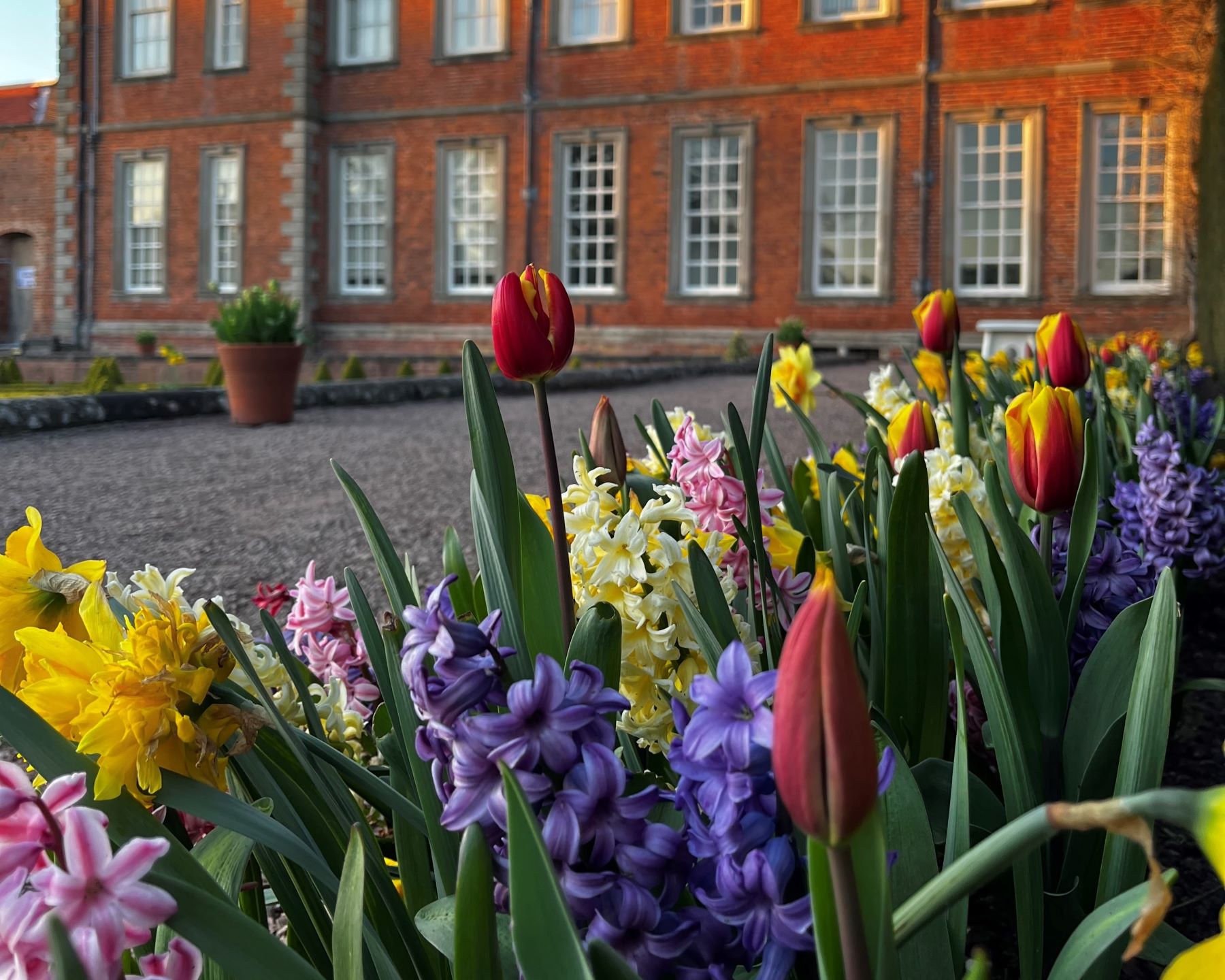 Hanbury garden and park | Worcestershire | National Trust