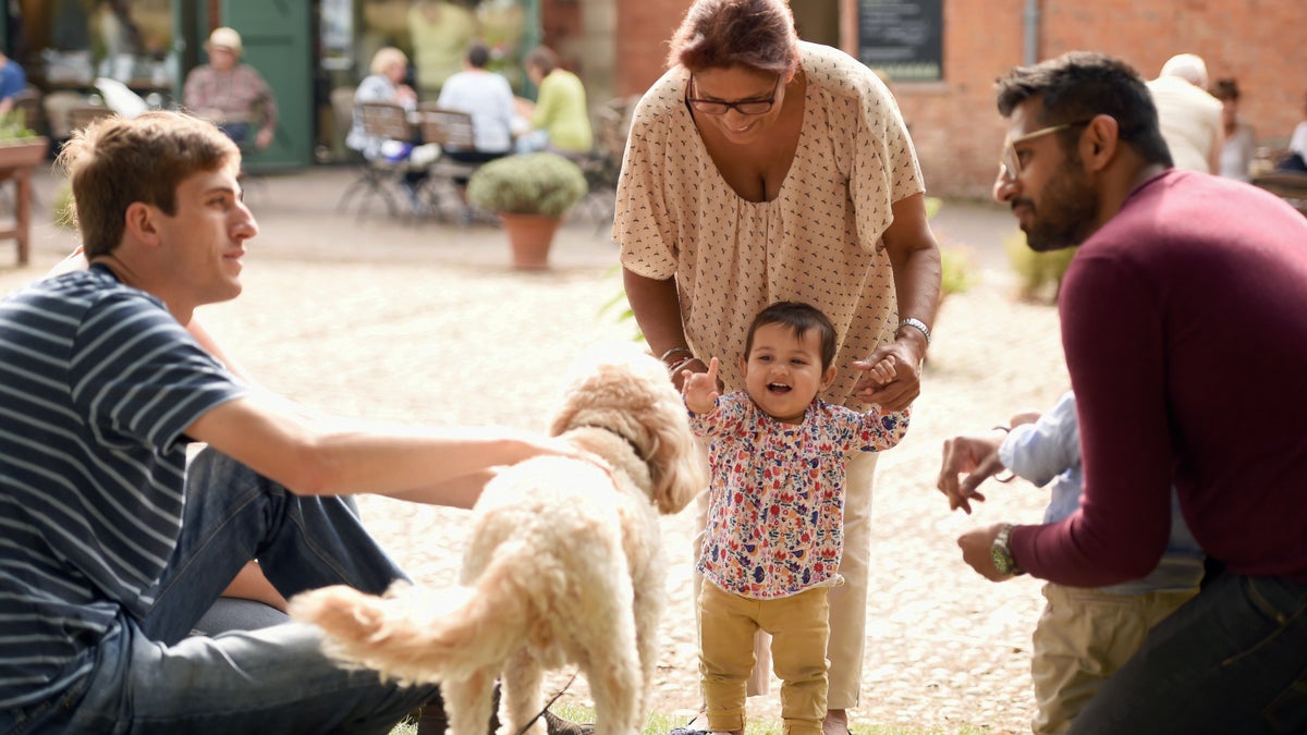 Dog walks Hanbury Hall Worcestershire National Trust