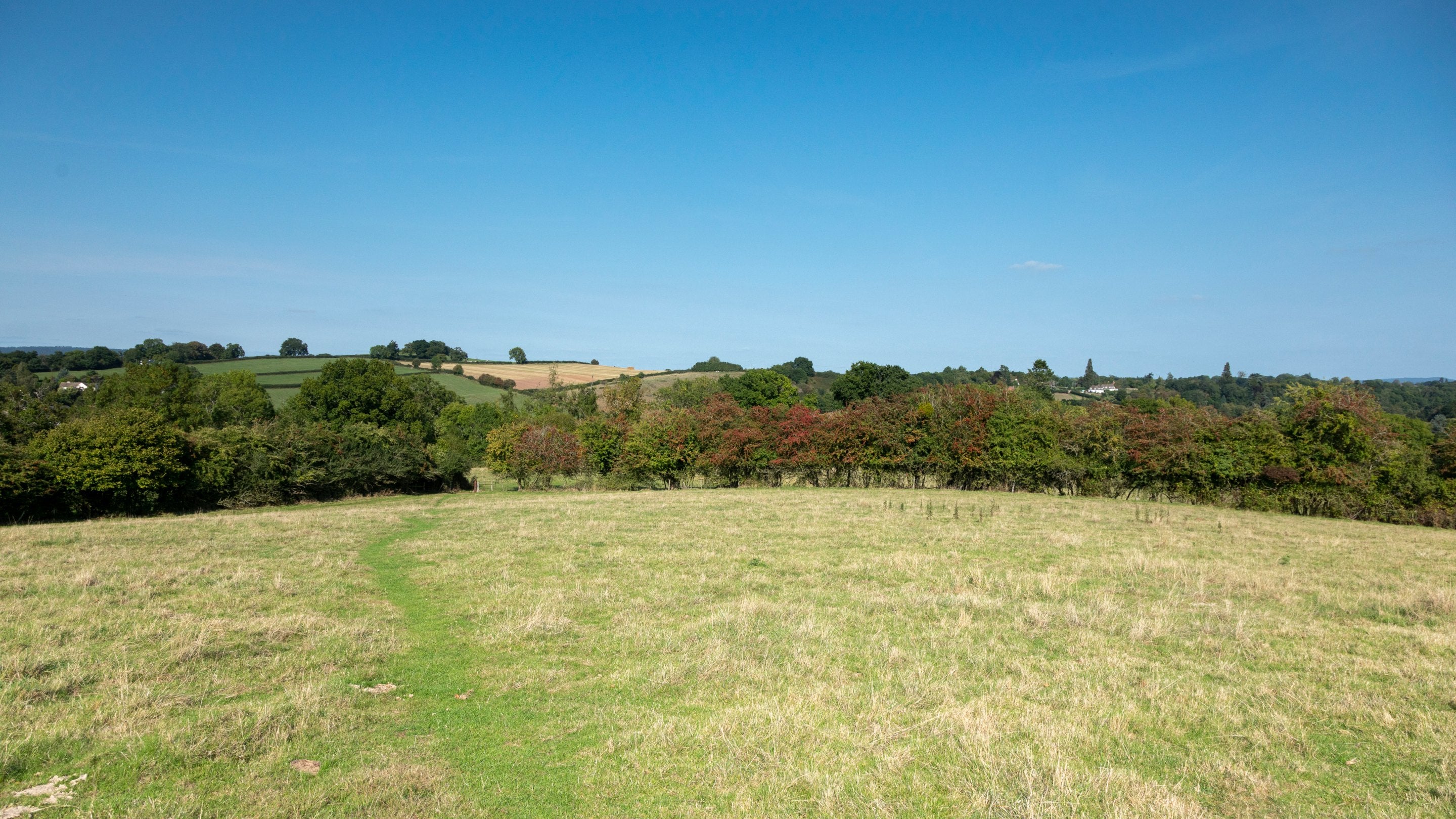Views over a field at Eaton camp, with woodland in the background