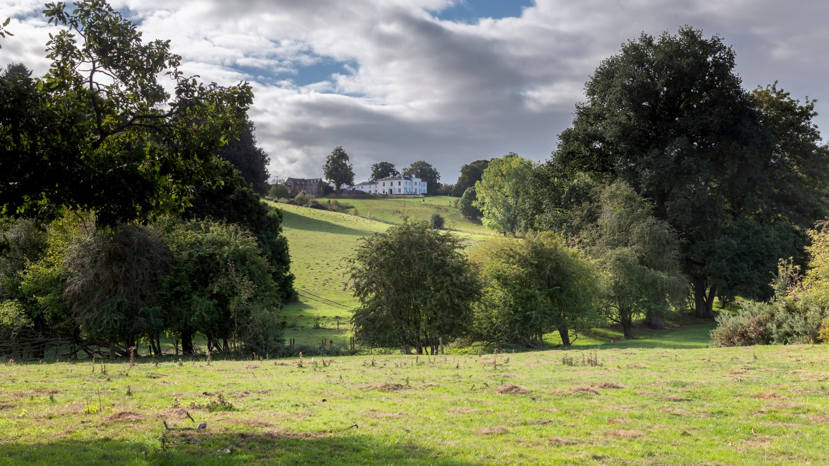 View across the landscape at Penegthley with ancient tree and Pengethley Manor in the distance