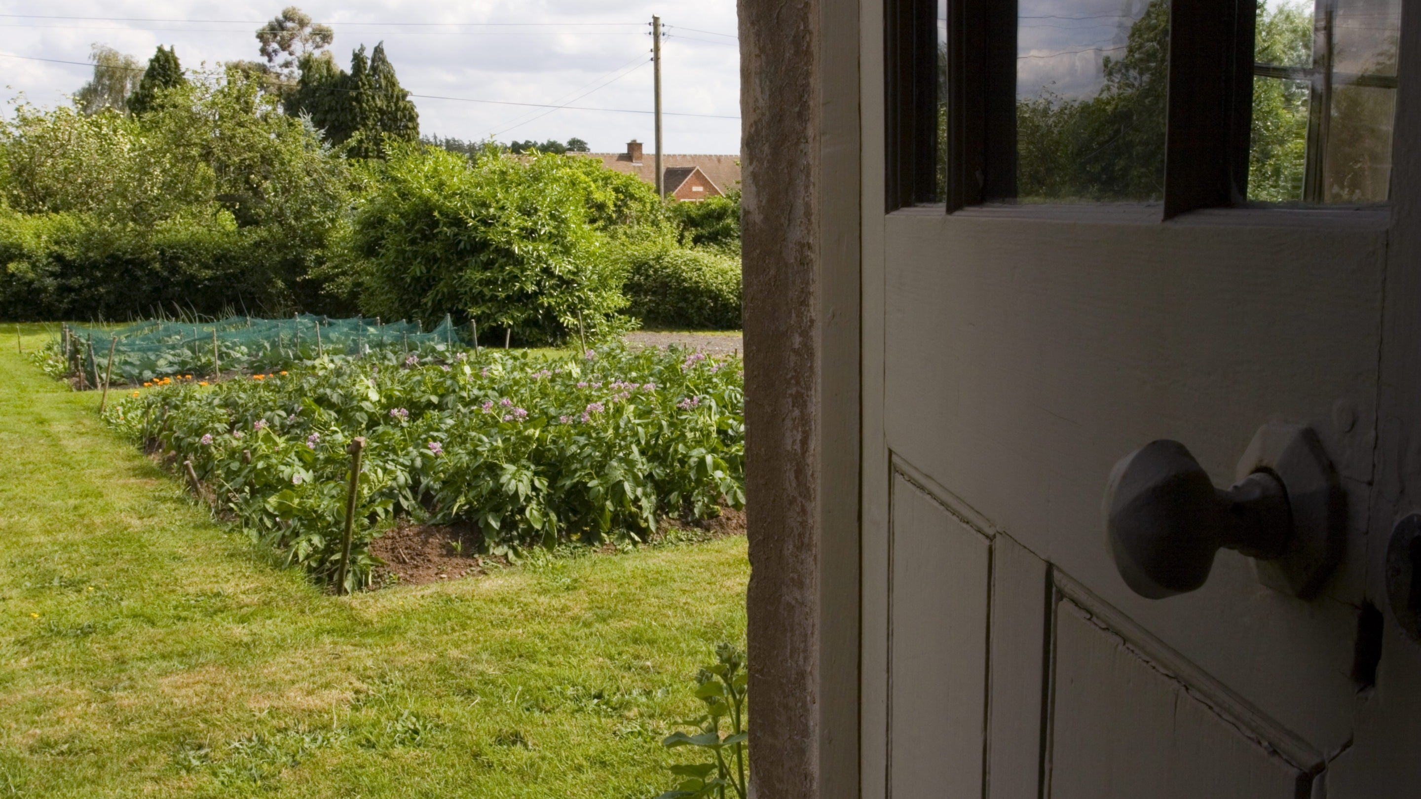 View from the front door, looking over the vegetable garden, at Rosedene, Worcestershire