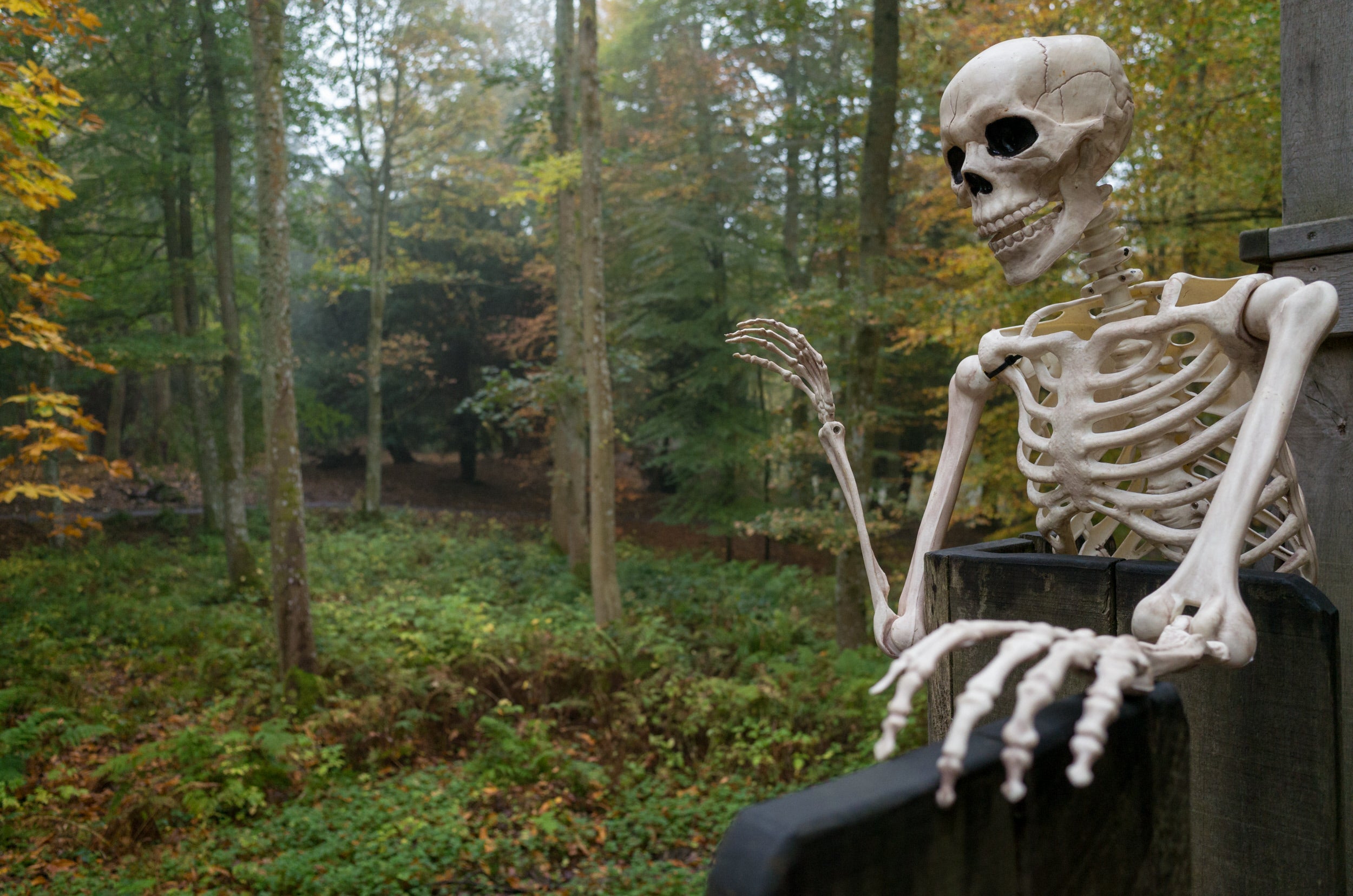 Fake skeleton in the woods