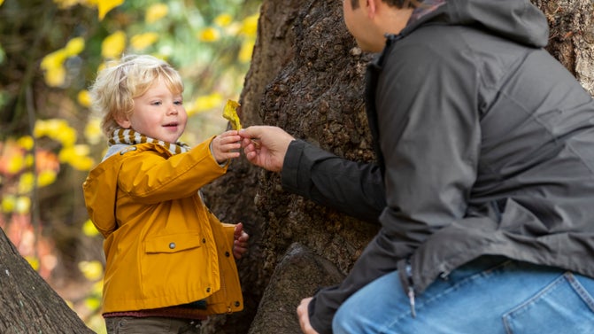 Father playing with toddler son among colourful autumn leaves in a wooded area with fallen leaves on the ground.