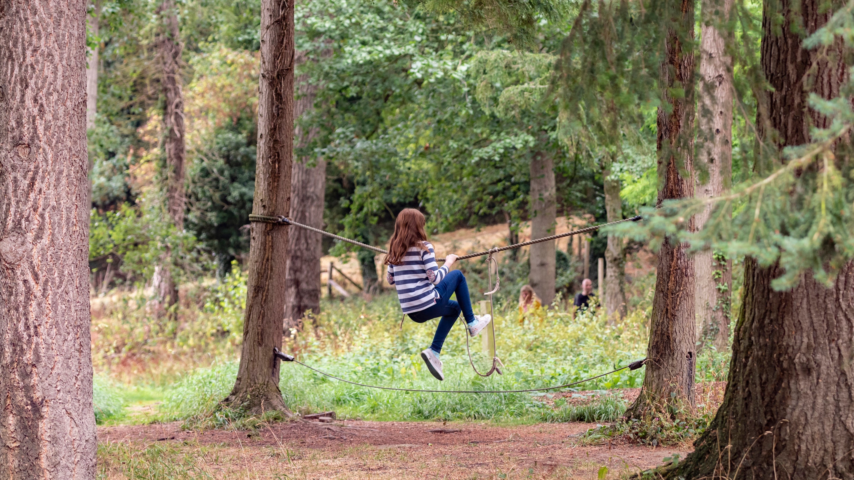 A girl hangs onto a rope as she balances on a lower rope hung tightly across trees.