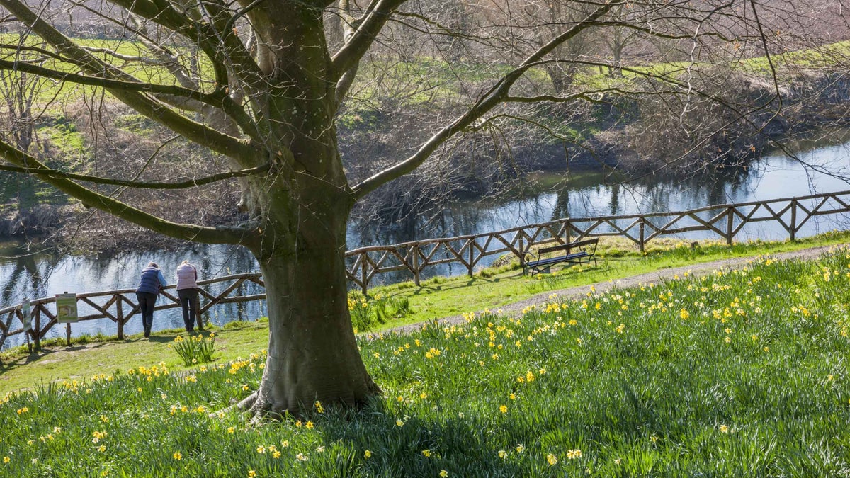 The Weir Garden Herefordshire National Trust