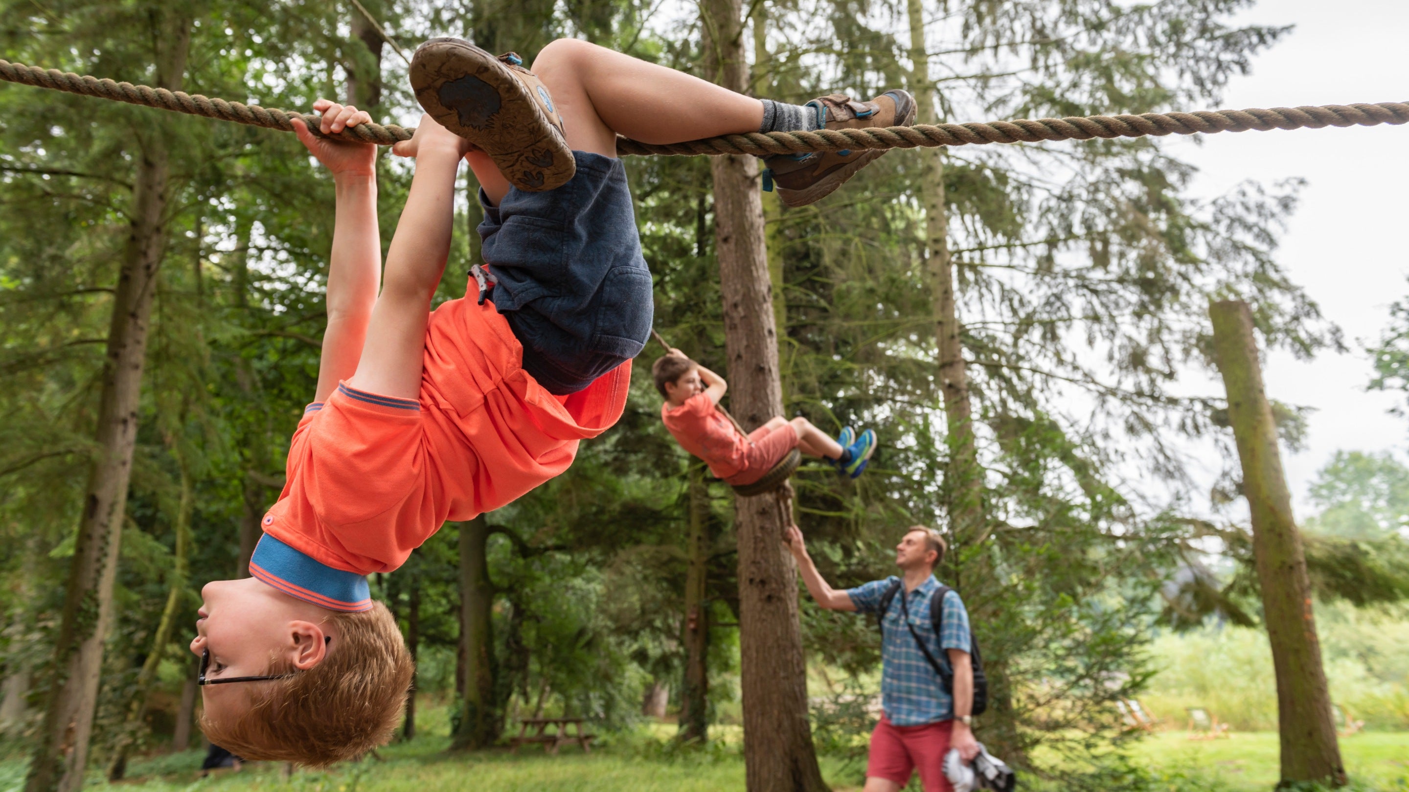 Boy climbing upside down on a rope between trees, and a man in the background pushing a child on the tyre swing.