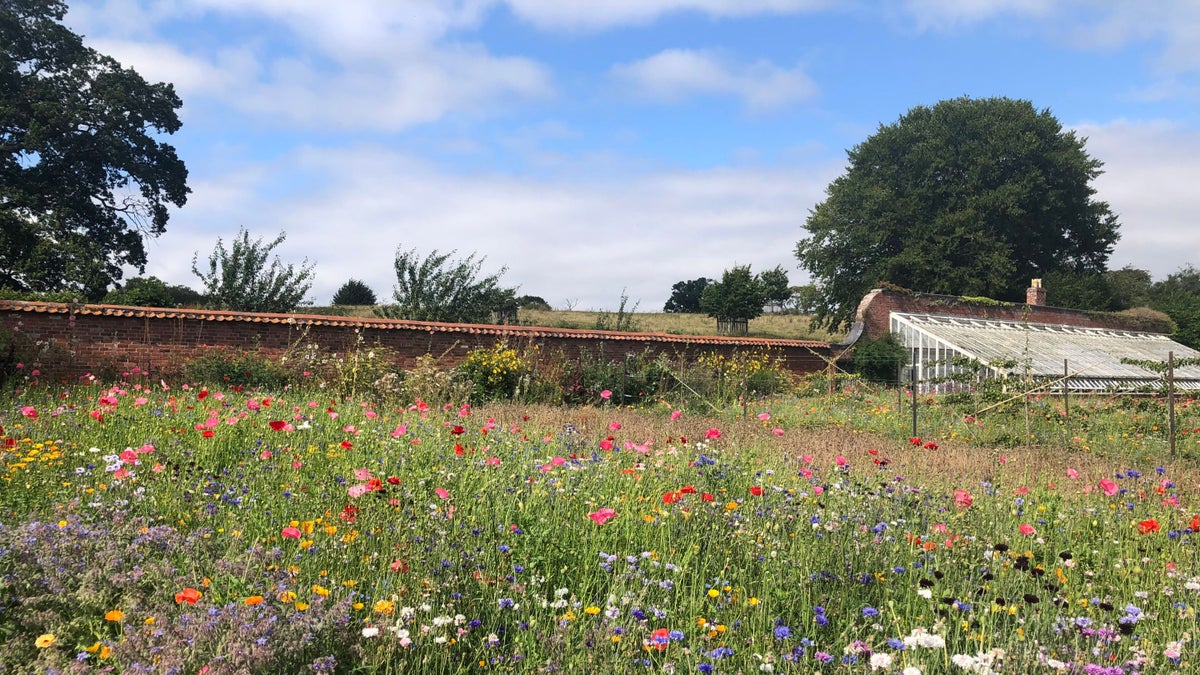 Restoring the walled garden at The Weir National Trust
