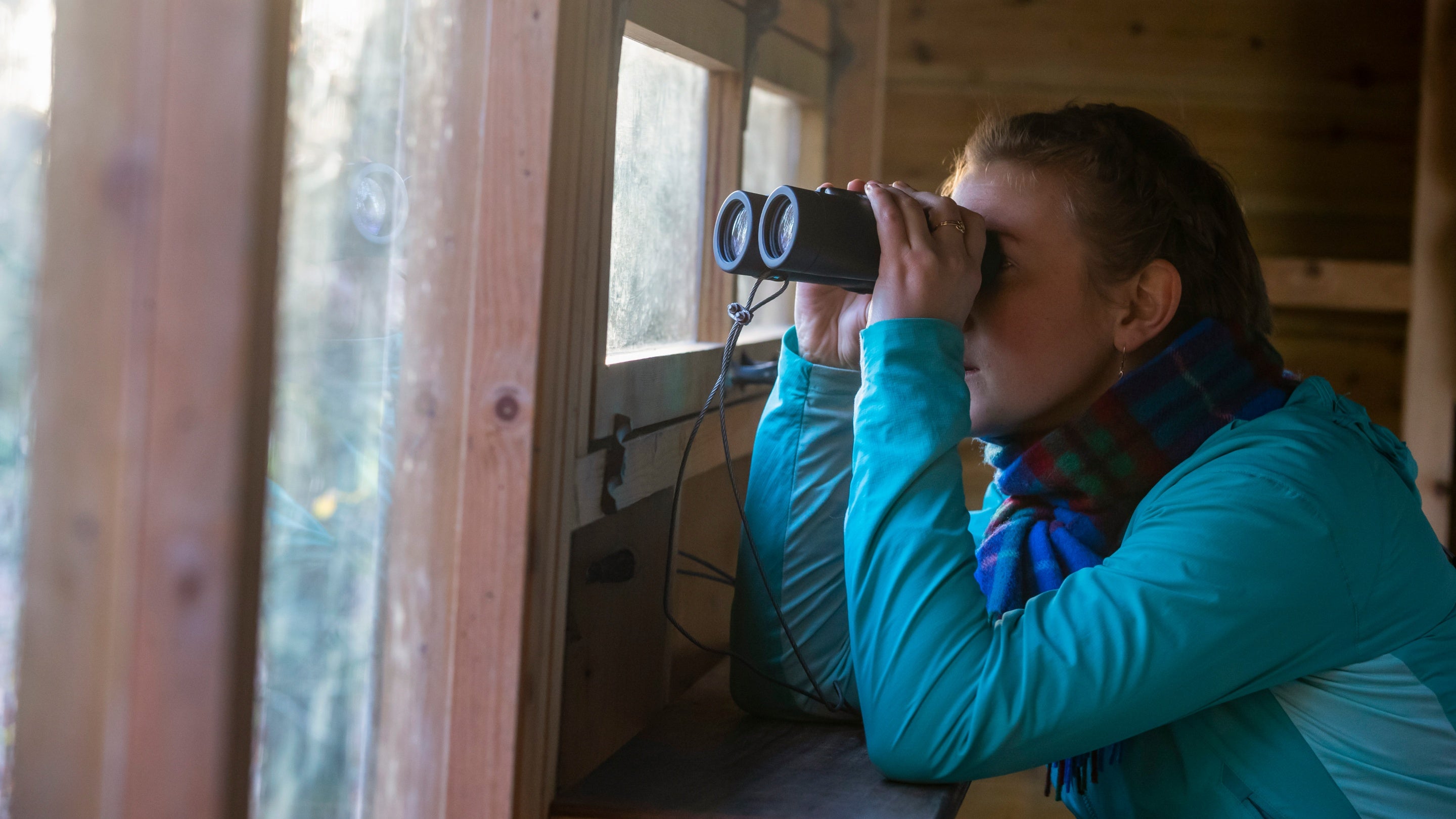 What will you see this winter at The Weir?