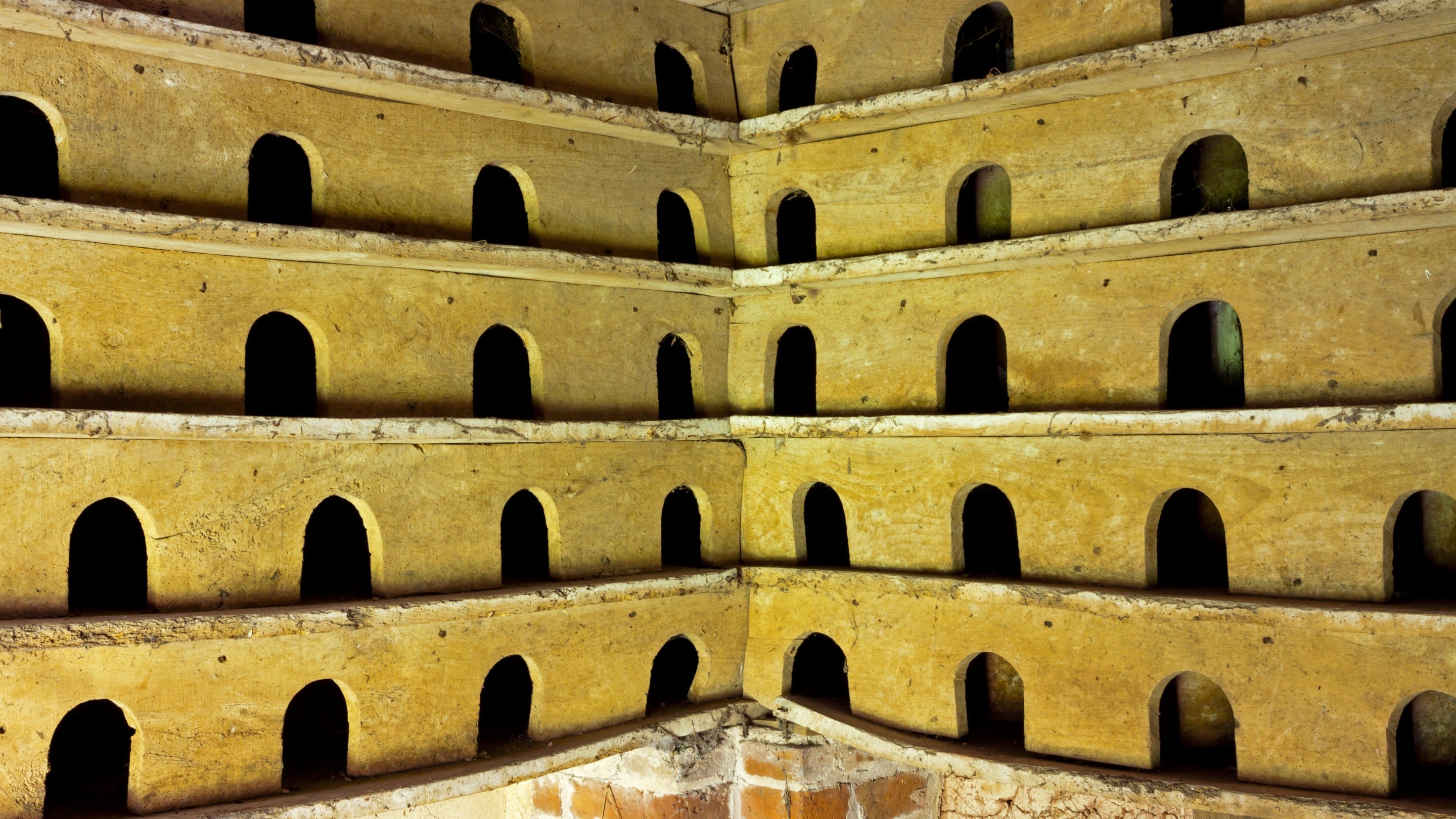 The holes for doves in the walls inside Wichenford Dovecote, a 17th-century, half-timbered dovecote in Worcestershire