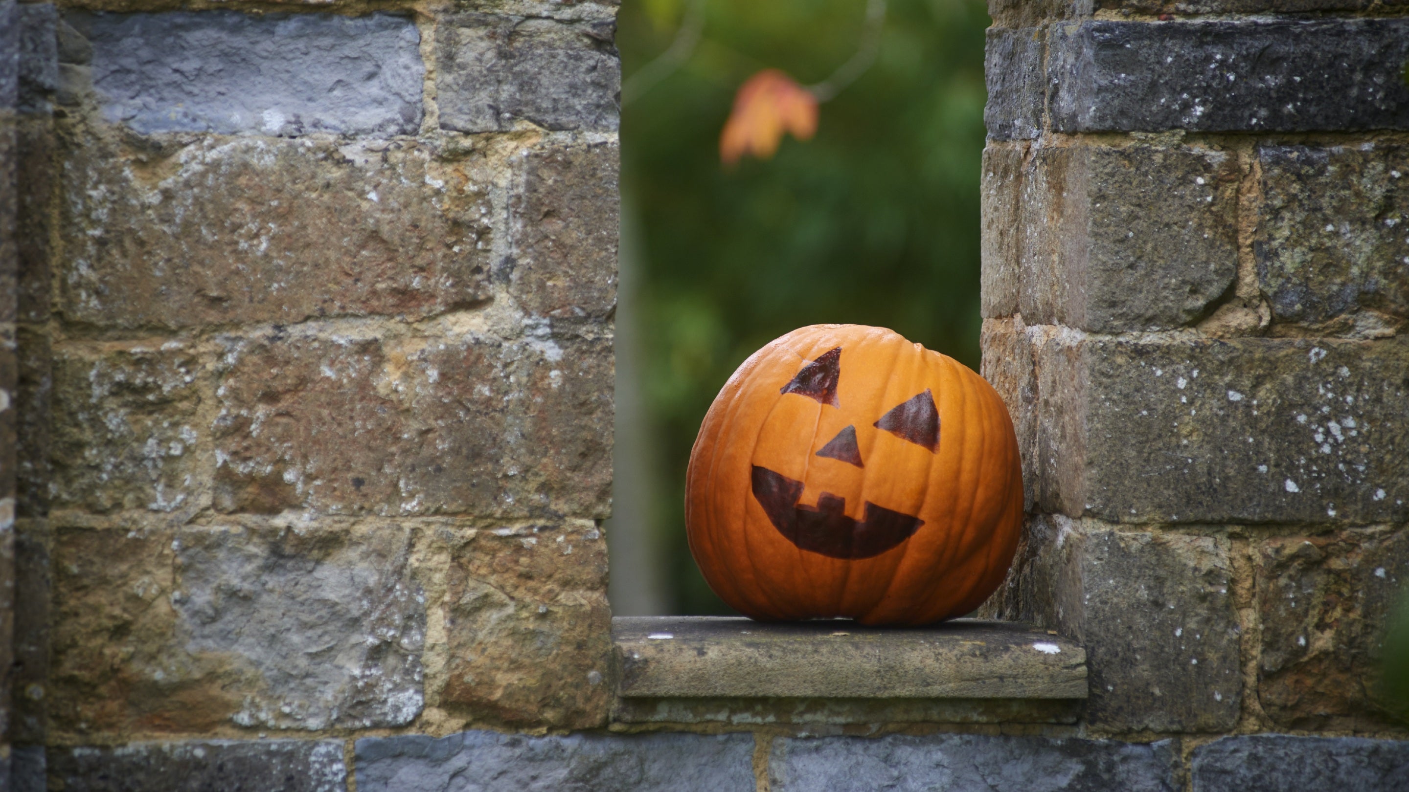 Carved pumpkin on a wall.