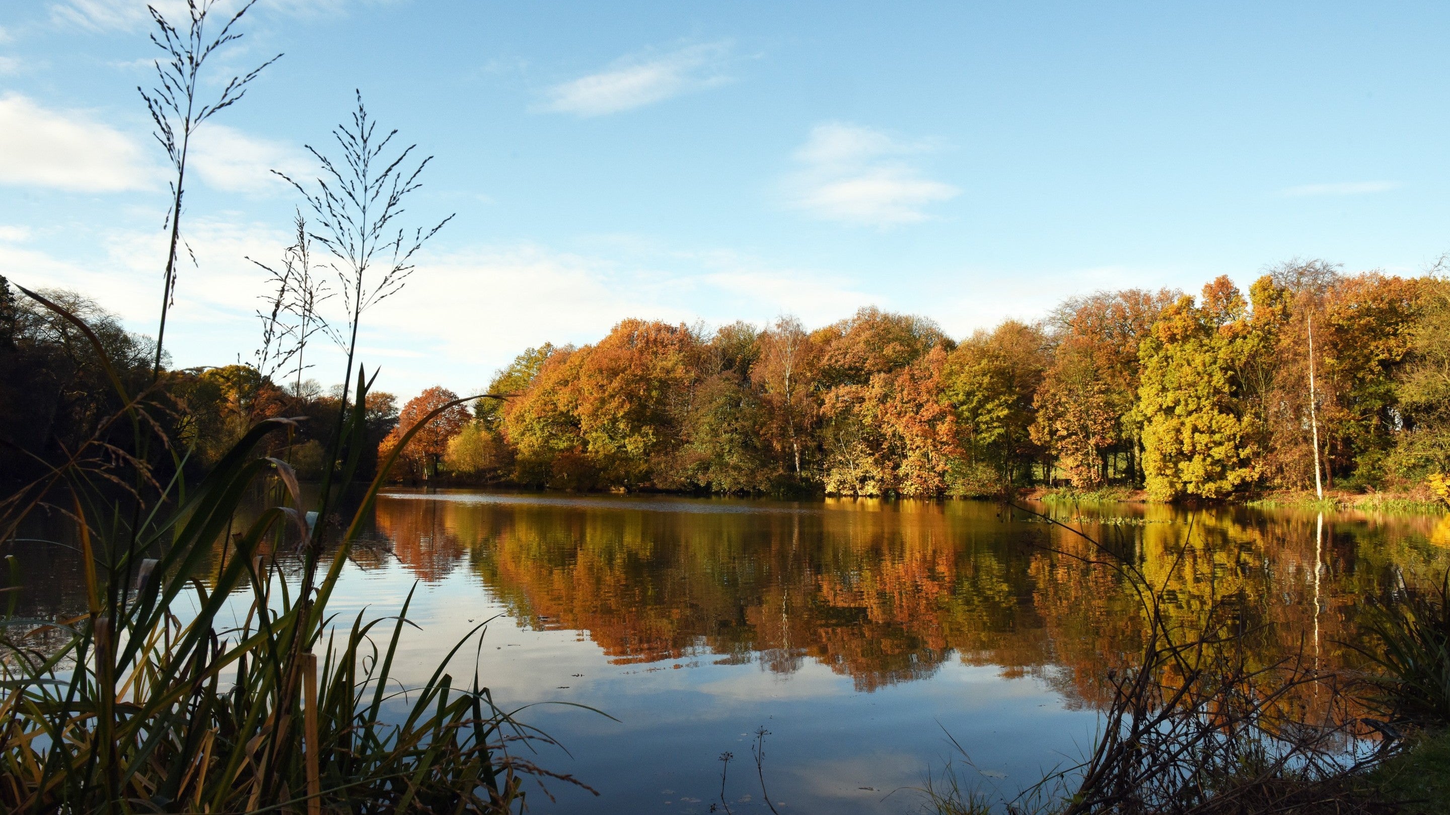 An autumnal view of park and lake at Nostell Priory and Parkland, Yorkshire