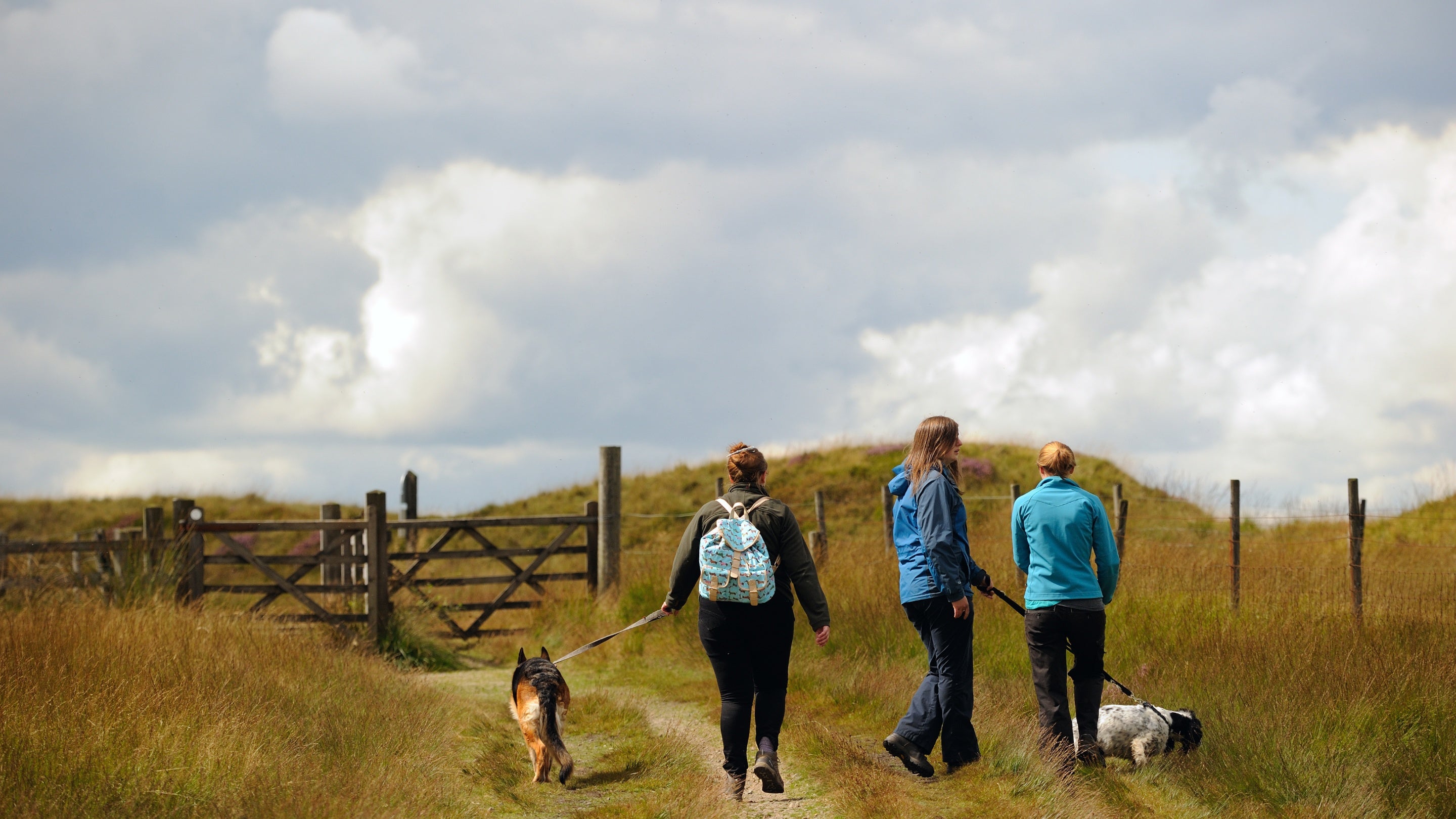 Walkers with dogs on Marsden Moor Estate, West Yorkshire