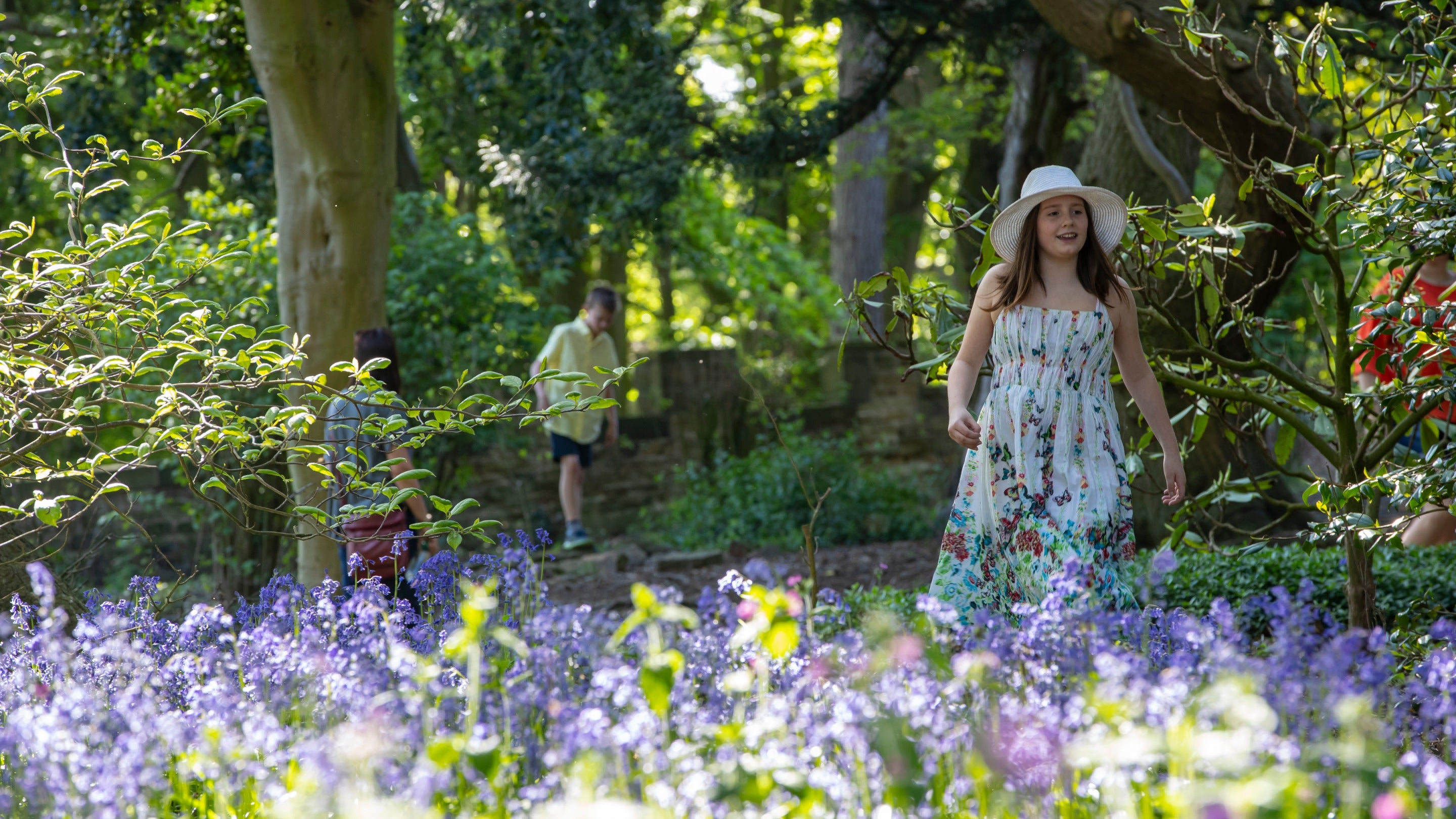 A child in a dress and hat walking through bluebells at Wentworth Castle Gardens, South Yorkshire