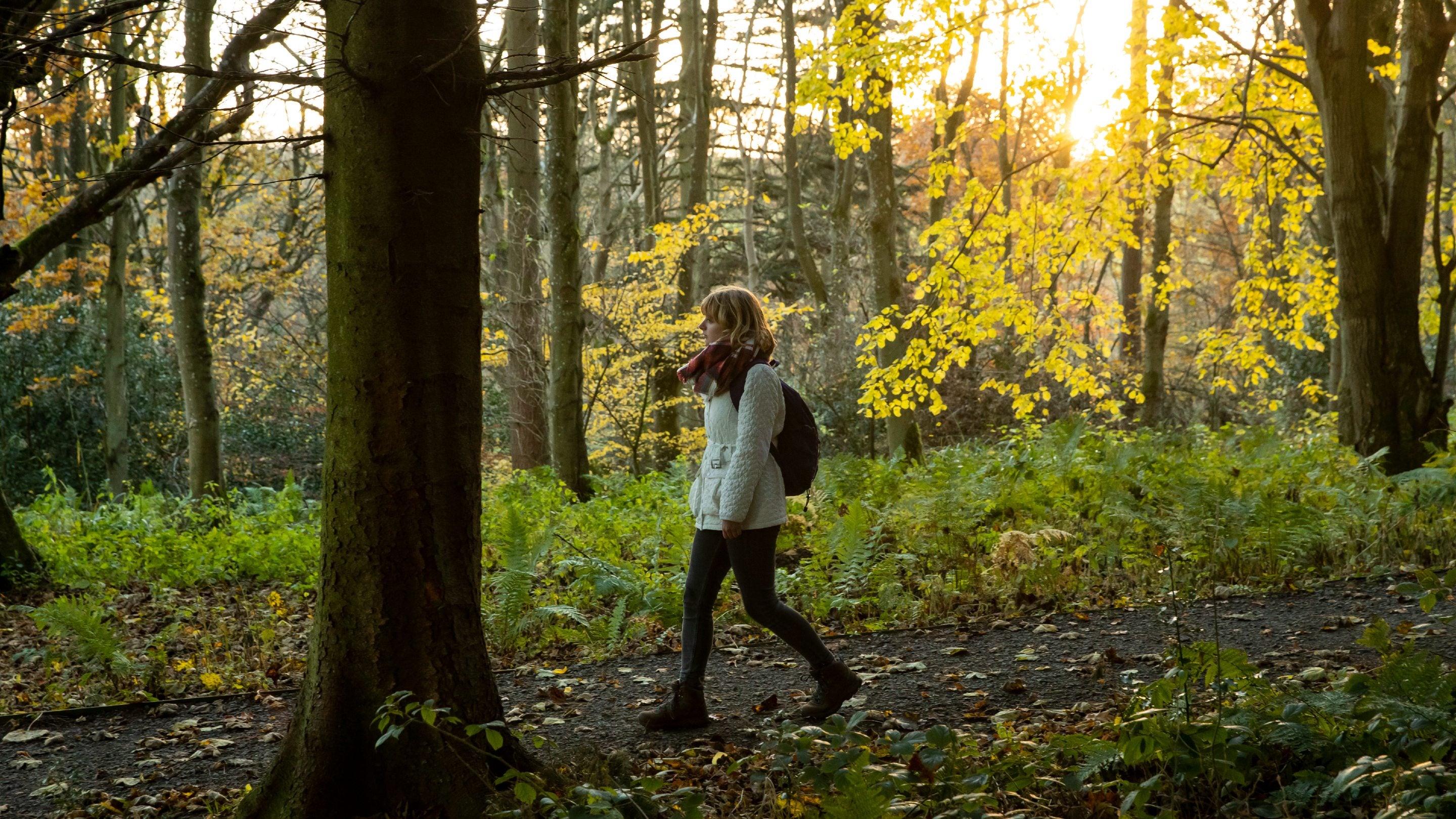 Women walking on a path through woodland tree trunk in foreground