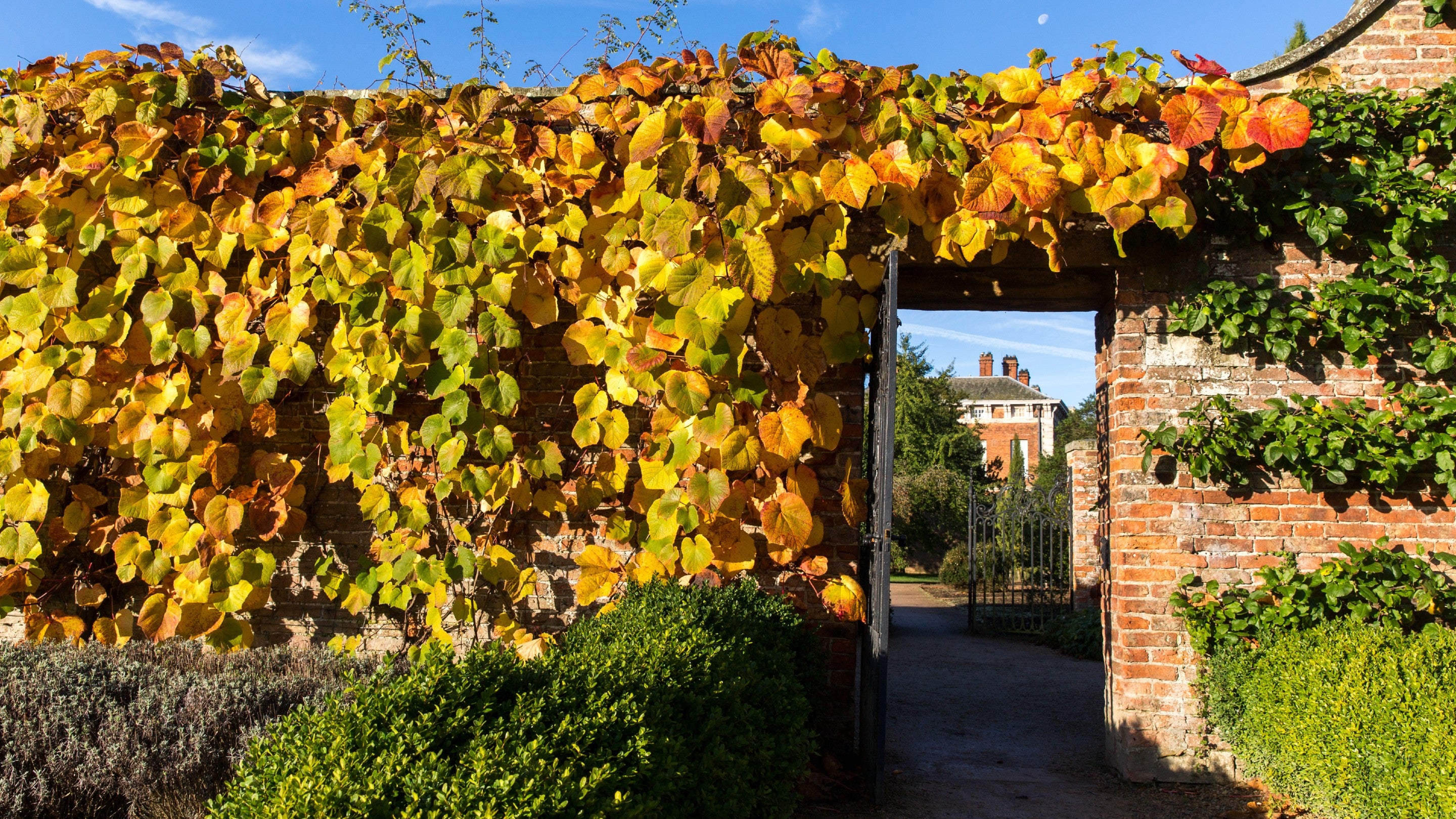 Stone wall covered with yellow leaves, open gateway with a view to historic house in the background