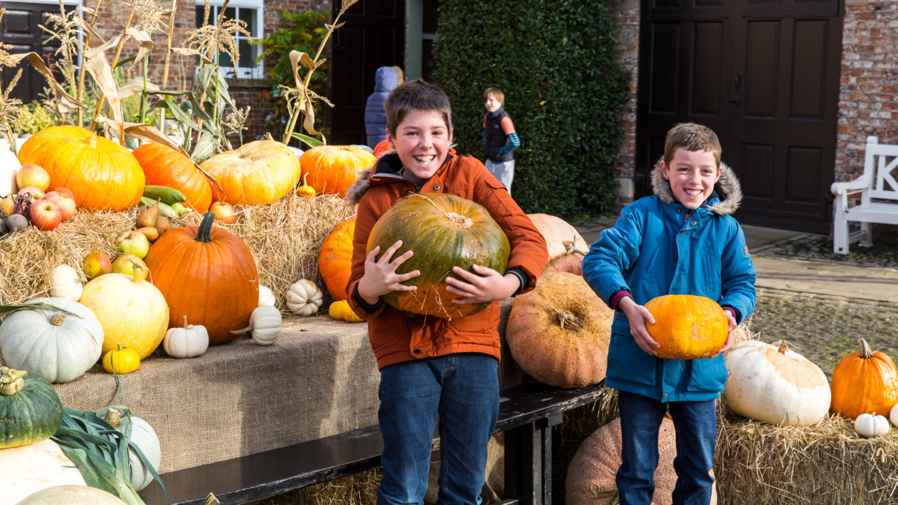 Two boys laughing as one lifts a large pumpkin, other pumpkins are on display behind