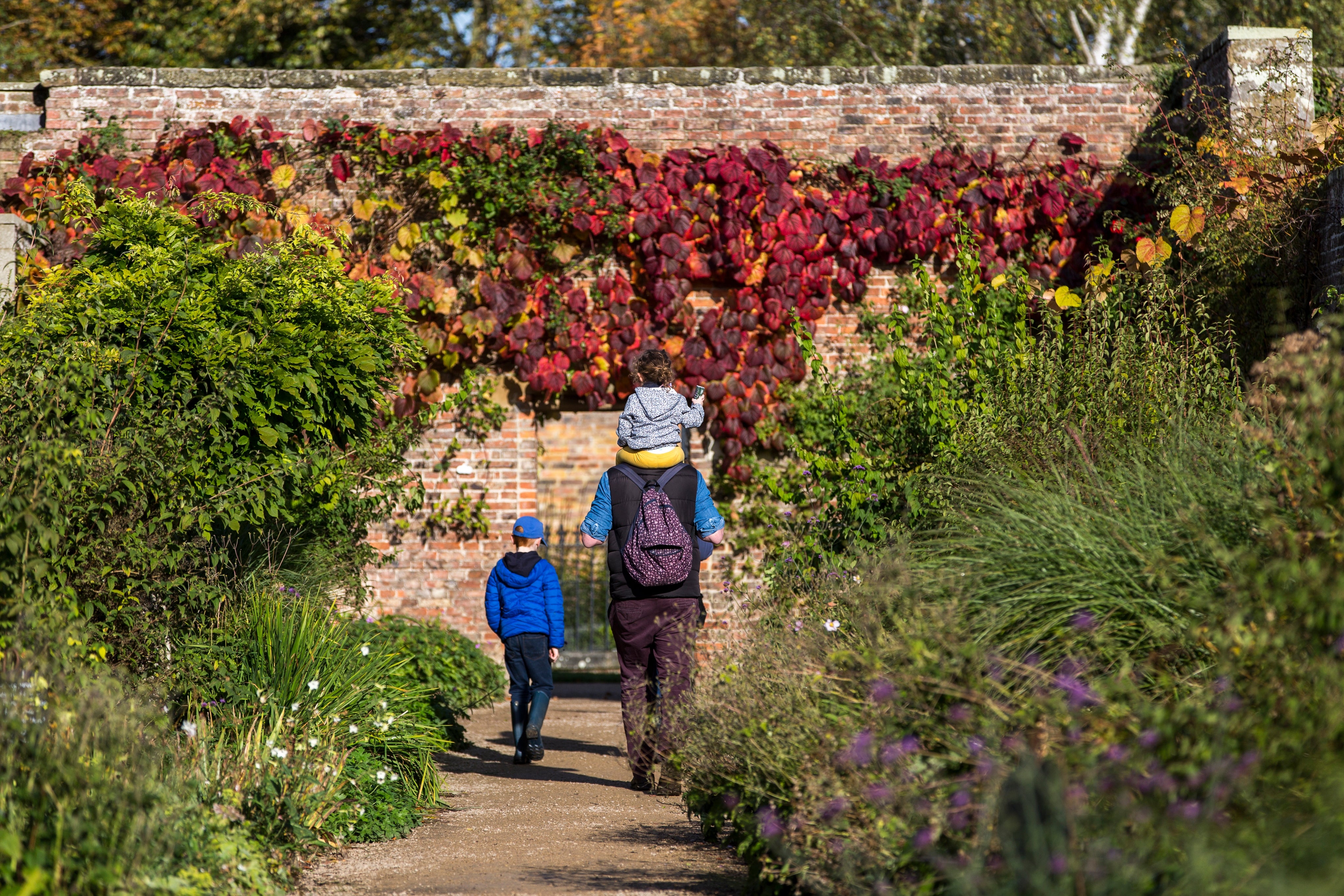 Family walking through the walled kitchen garden at Beningbrough Hall, Gallery and Gardens, North Yorkshire