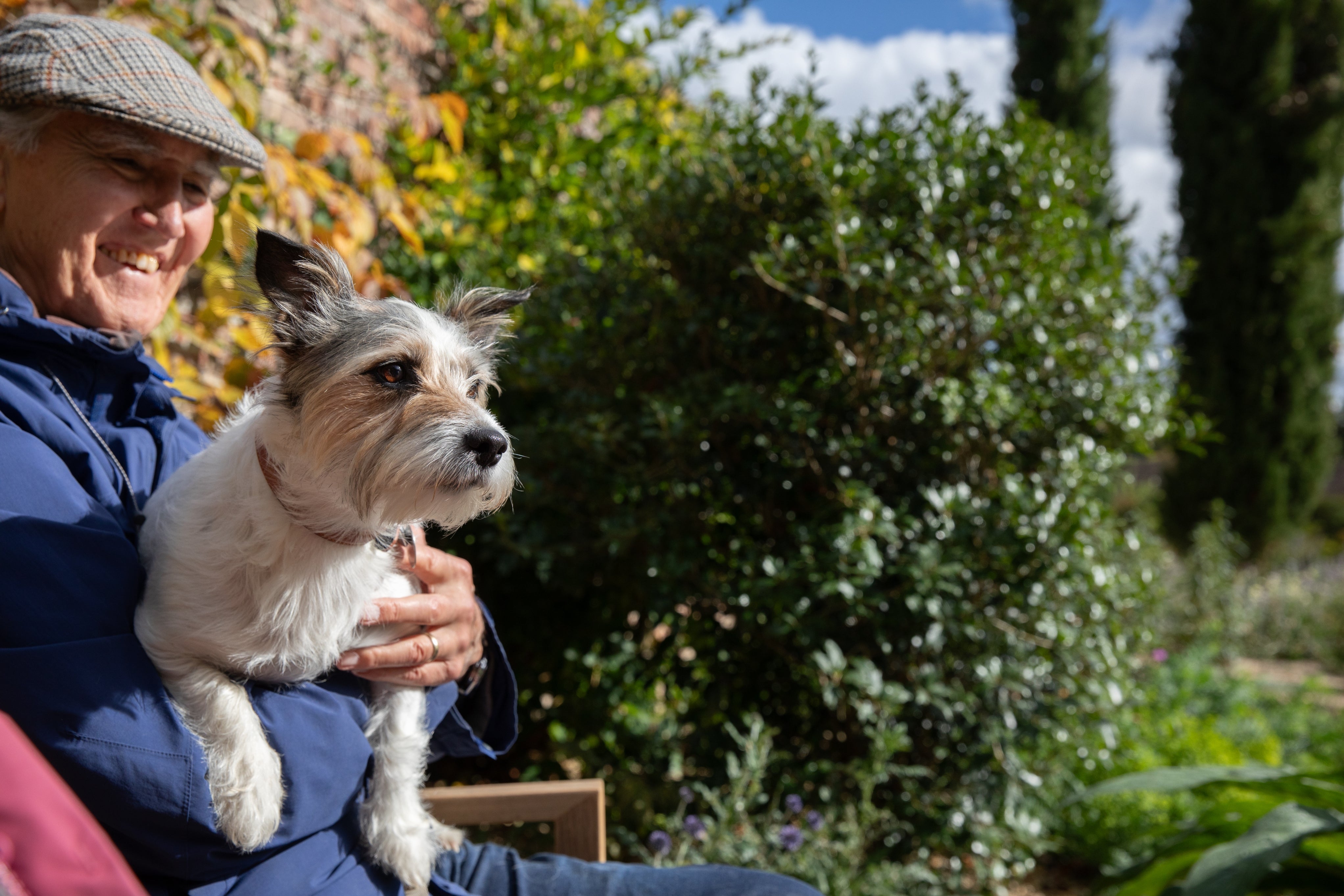 Visitors relaxing in the Mediterranean Garden with their dog at Beningbrough, North Yorkshire