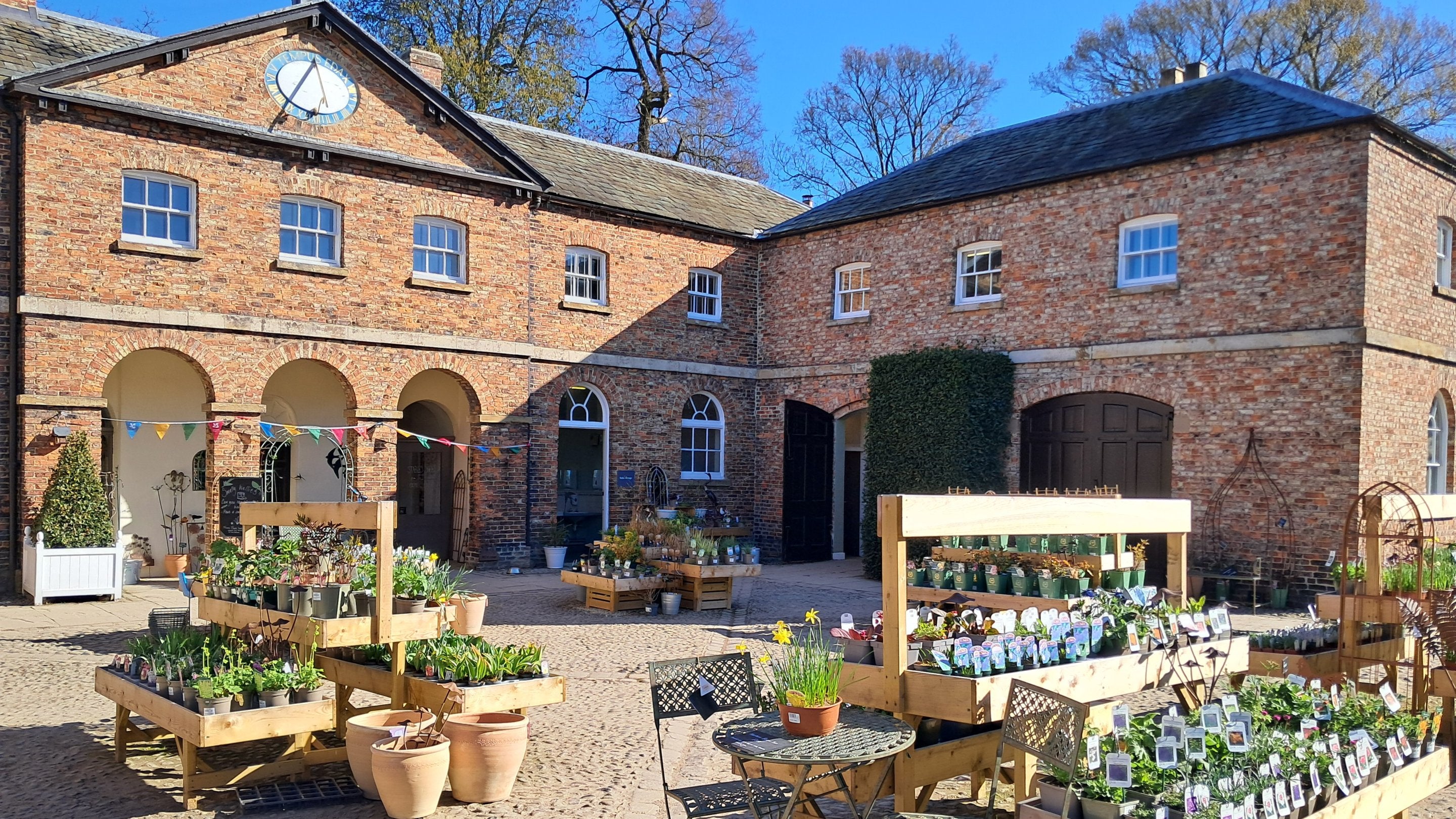 View across a courtyard to modernised stables area with plant benches filling the space