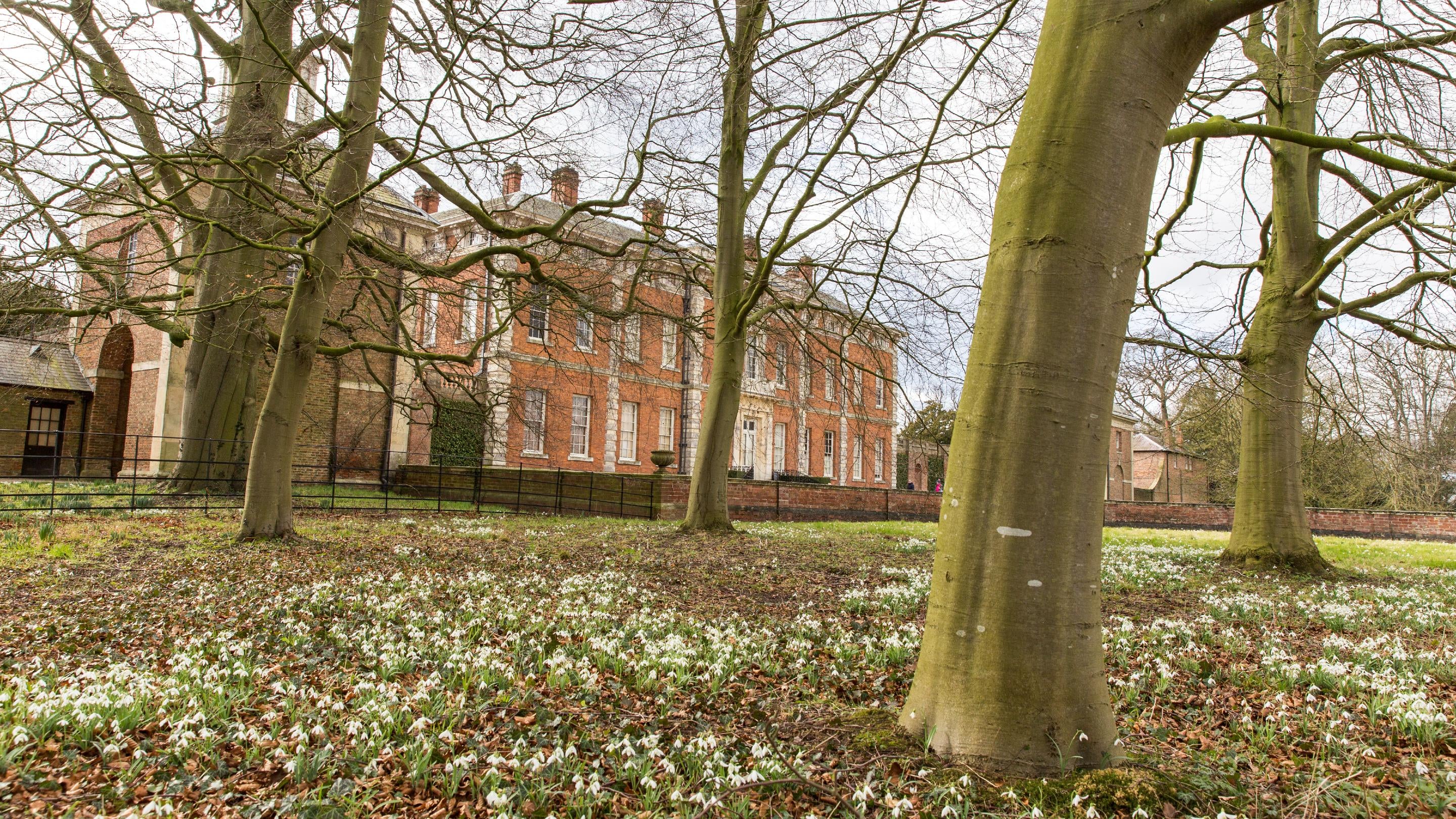 Large rebricked hall as seen through large trees with snowdrops underneath