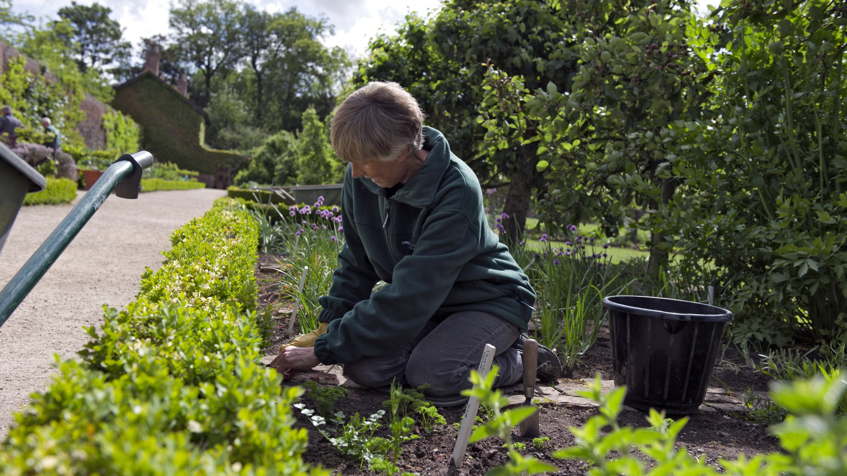 Gardener at work in the Kitchen Garden at Beningbrough Hall, North Yorkshire.