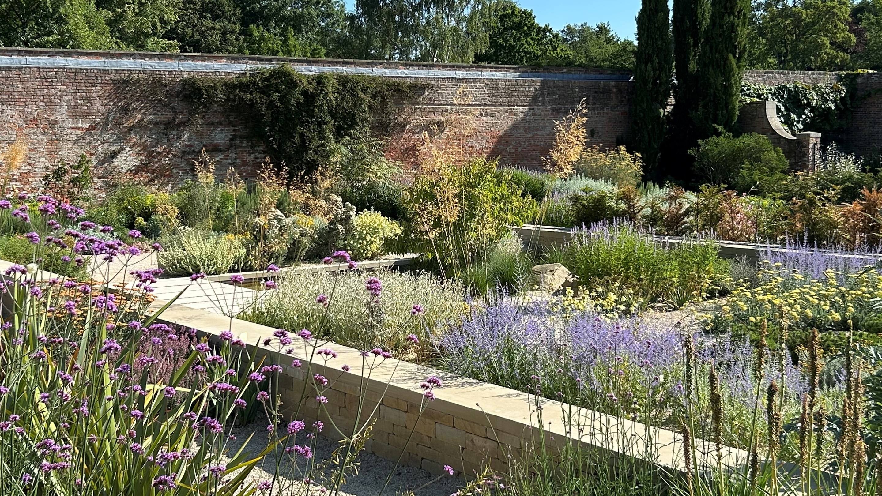 View across a gravel garden with colourful planting, walls and tall, narrow fir trees.