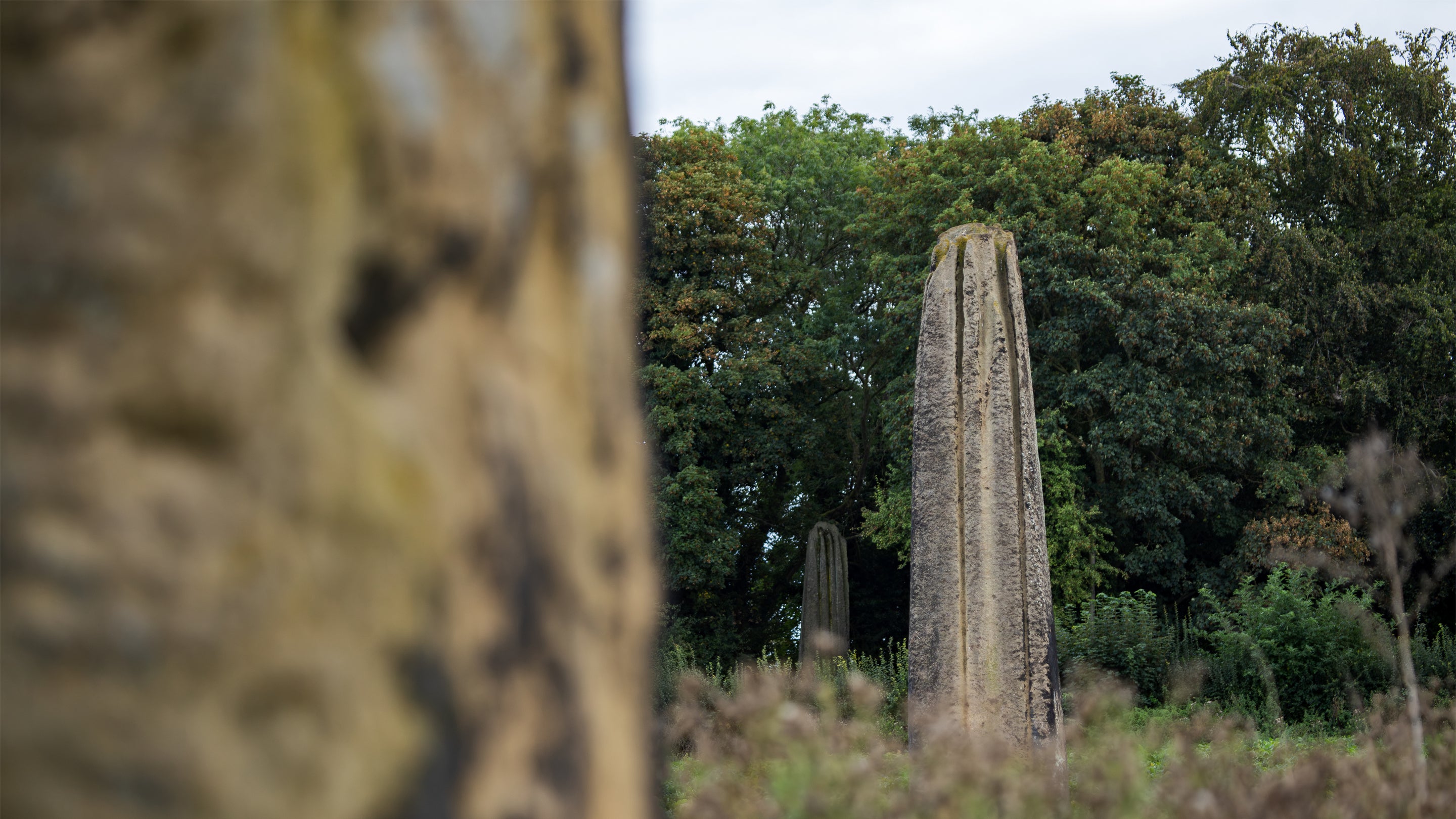 Three large weathered pillar standing tall in a field with tall trees in the background adn low lying ferns. The first pillar is blurred in the foreground of the image while the other two are in focus in the background.