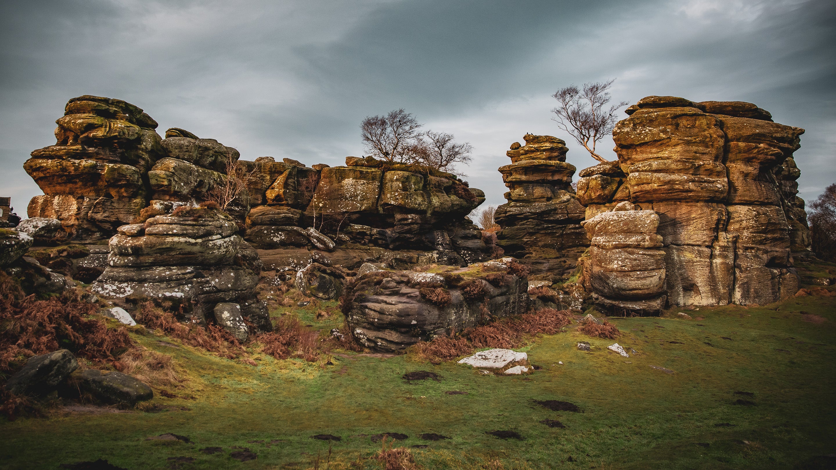 Large weathered rock formations at Brimham Rocks under a cloudy, moody winter sky, with patches of green grass and sparse trees.