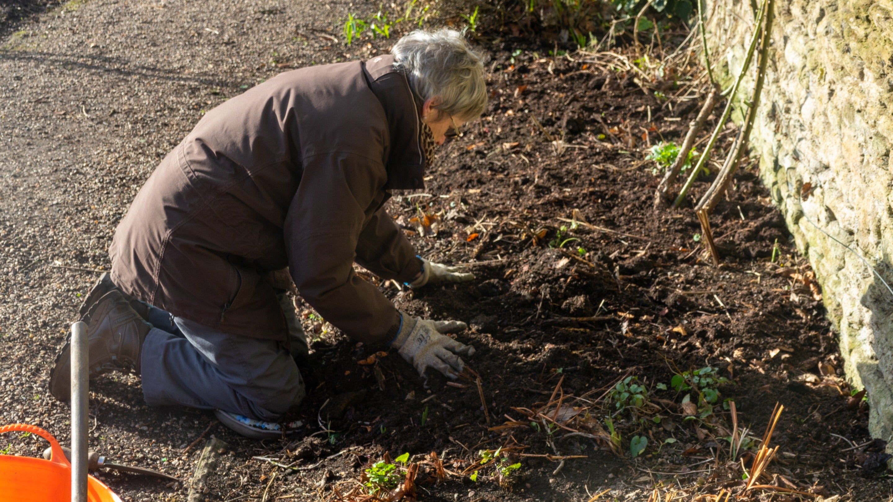 Gardening volunteer working in the formal gardens at East Riddlesden Hall