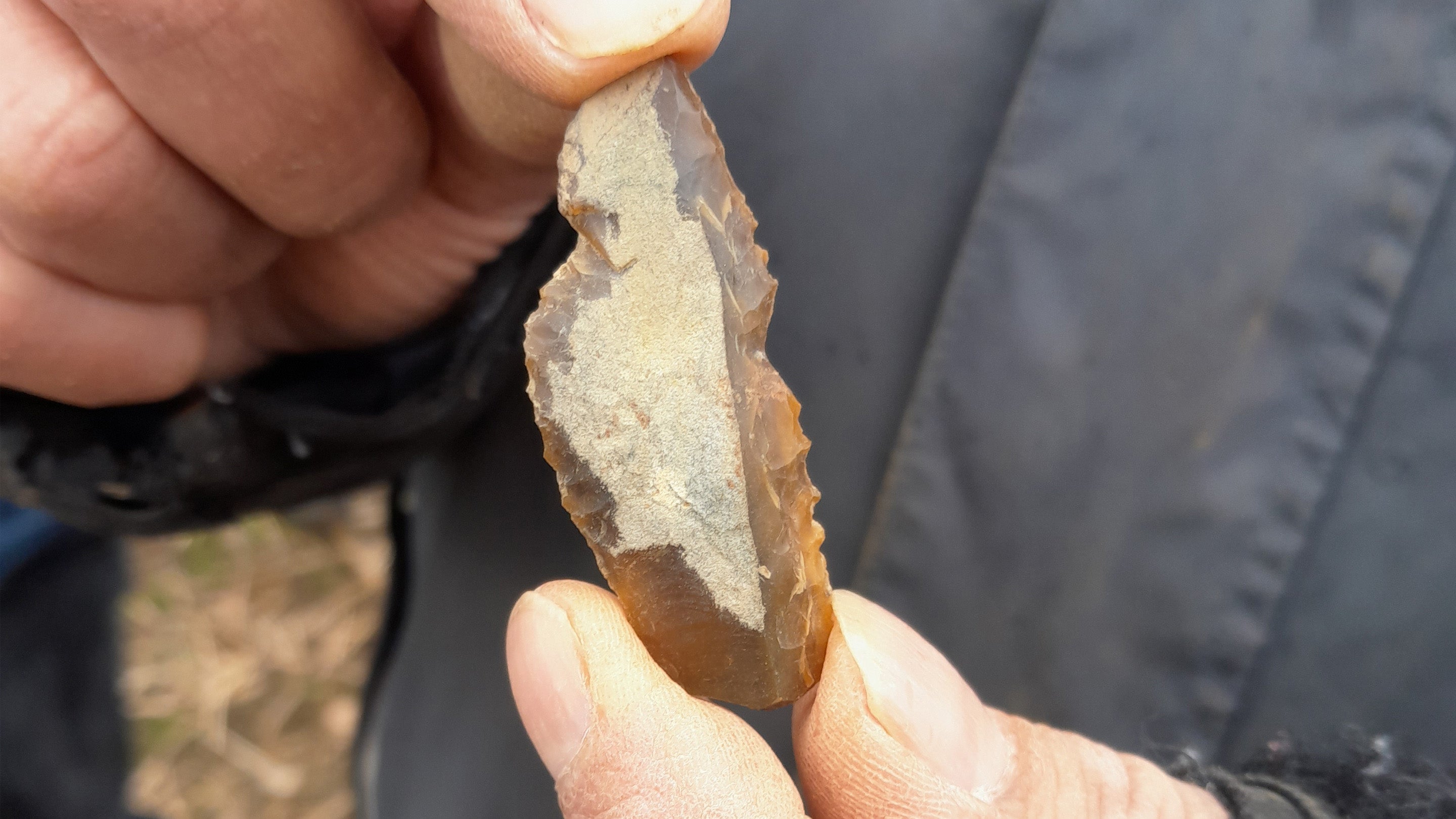 Mesolithic flint found by the Skell Valley Project volunteers